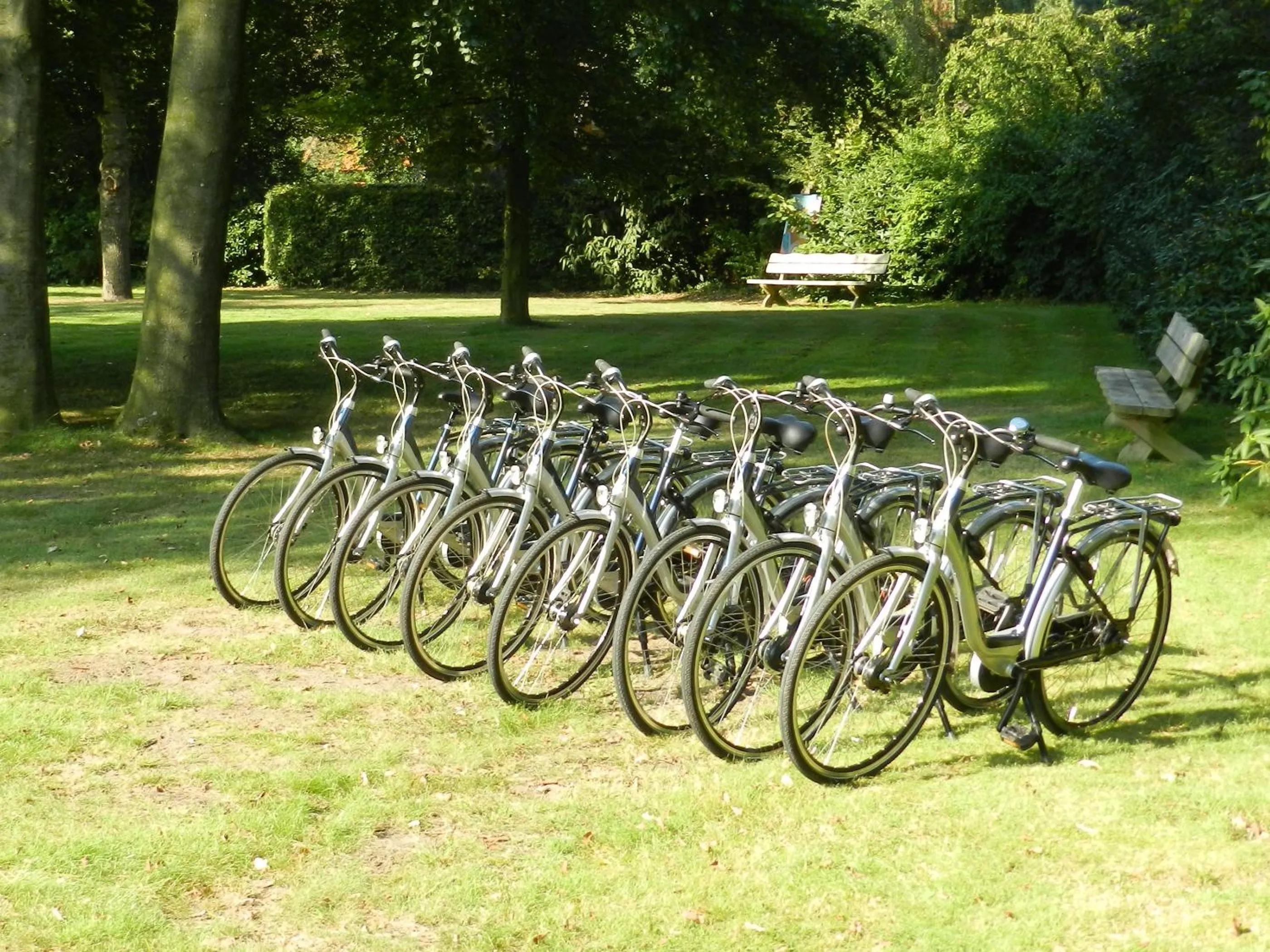 Activities in Boutique Hotel Nieuw Beusink