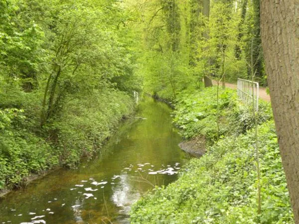 Natural landscape in Boutique Hotel Nieuw Beusink