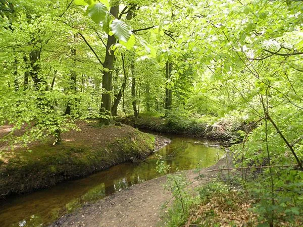 Natural landscape in Boutique Hotel Nieuw Beusink