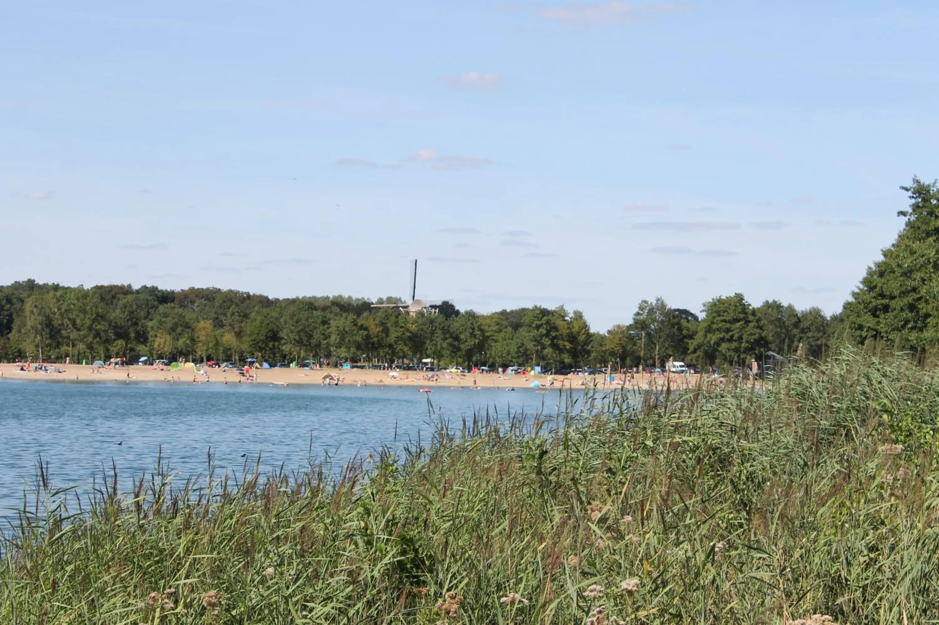 Natural landscape in Boutique Hotel Nieuw Beusink