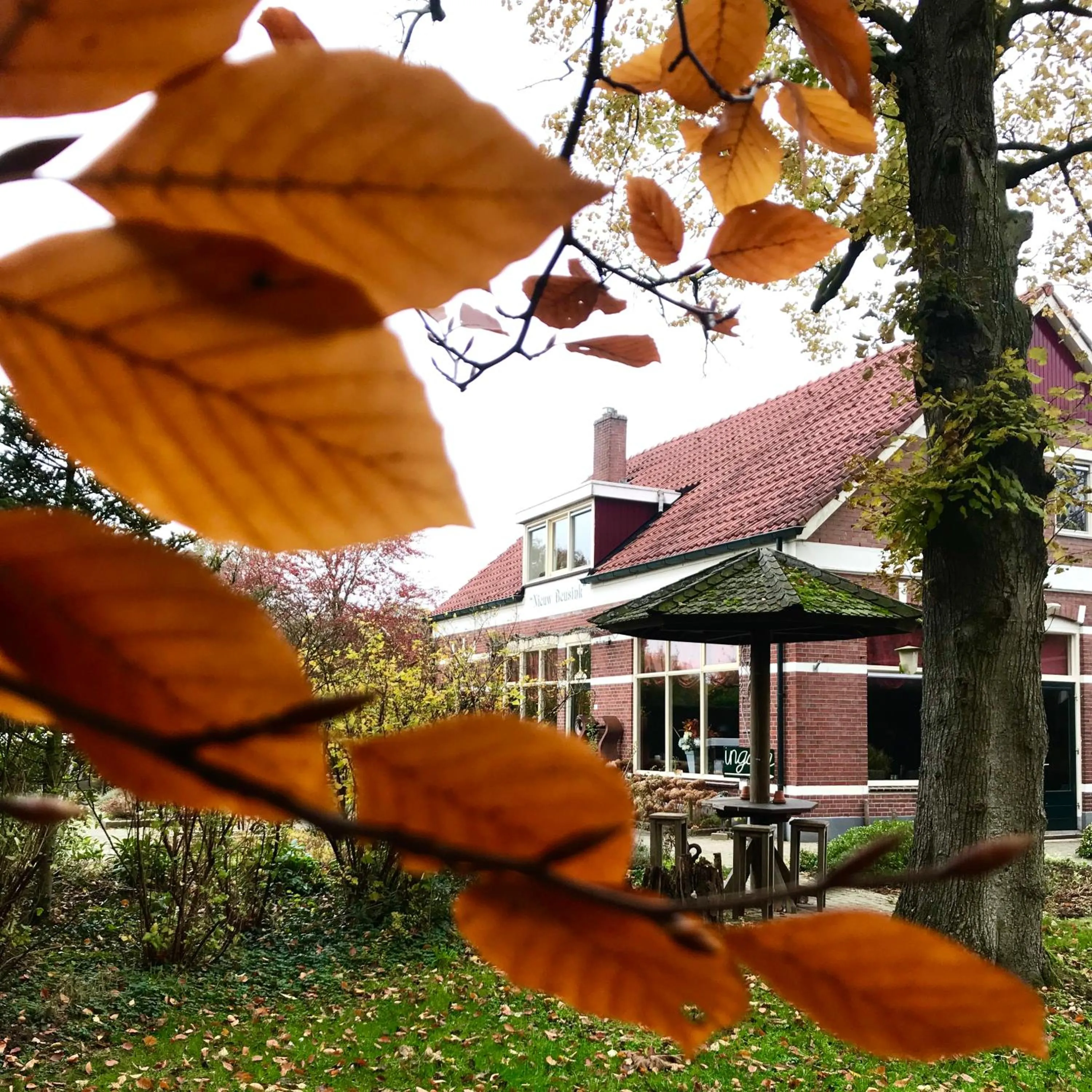 Facade/entrance in Boutique Hotel Nieuw Beusink