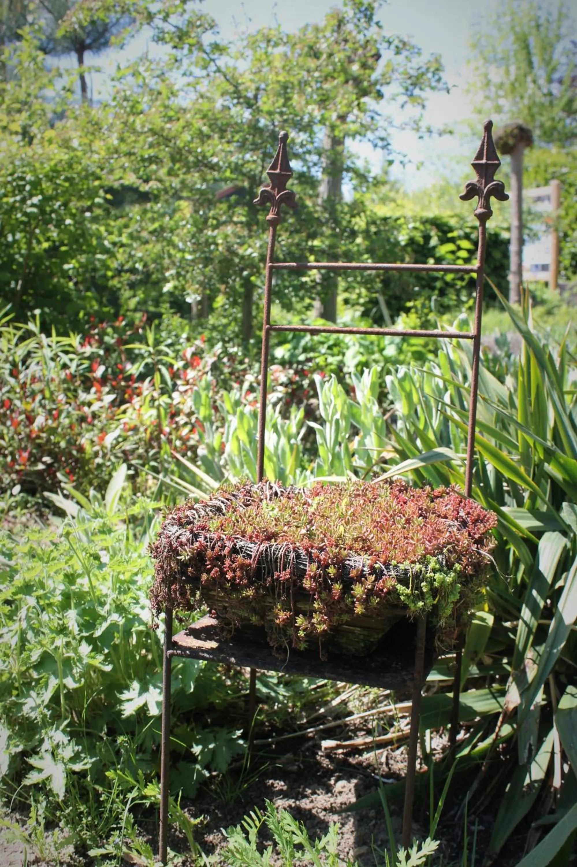 Garden in Boutique Hotel Nieuw Beusink