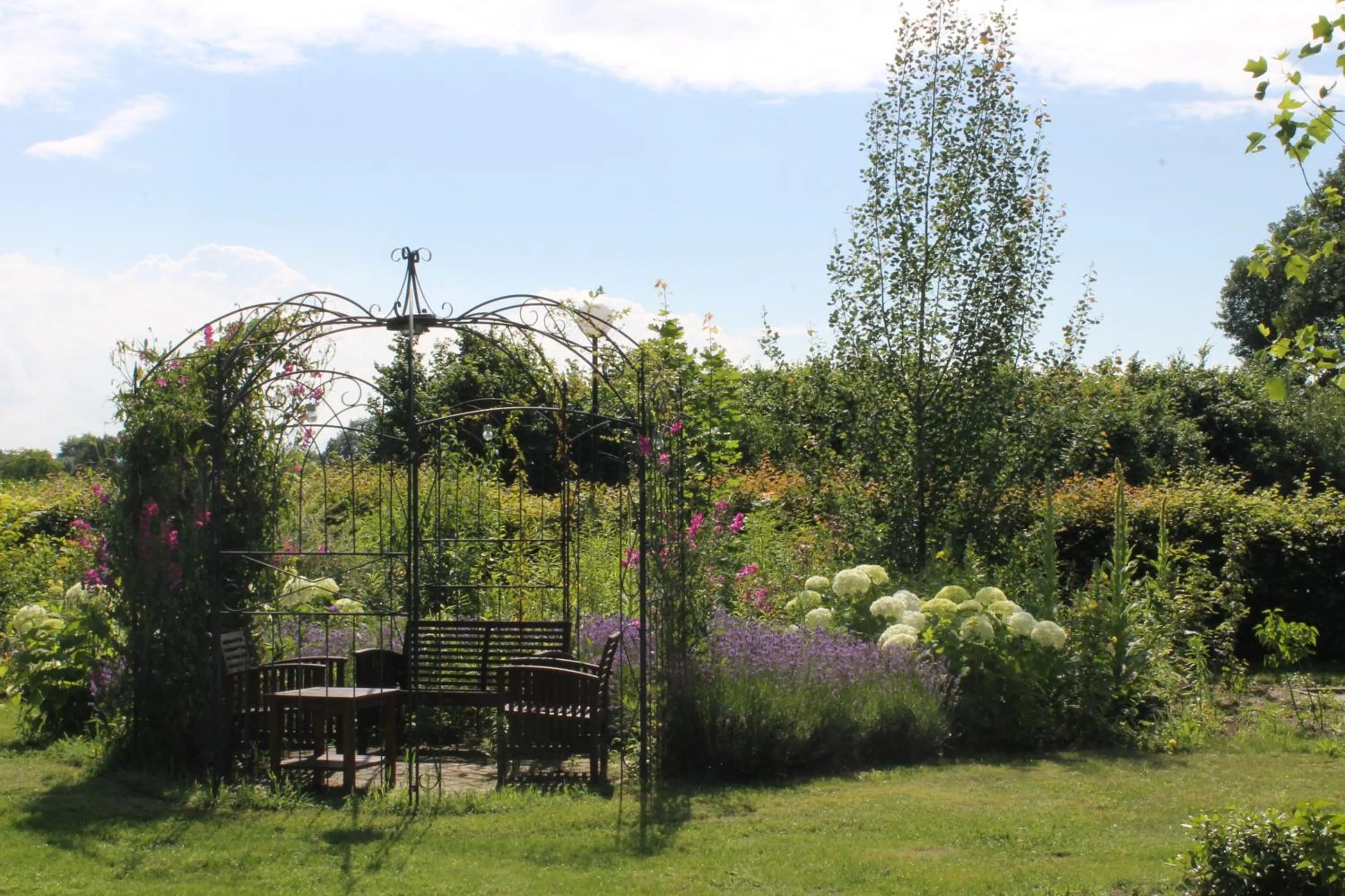 Garden in Boutique Hotel Nieuw Beusink