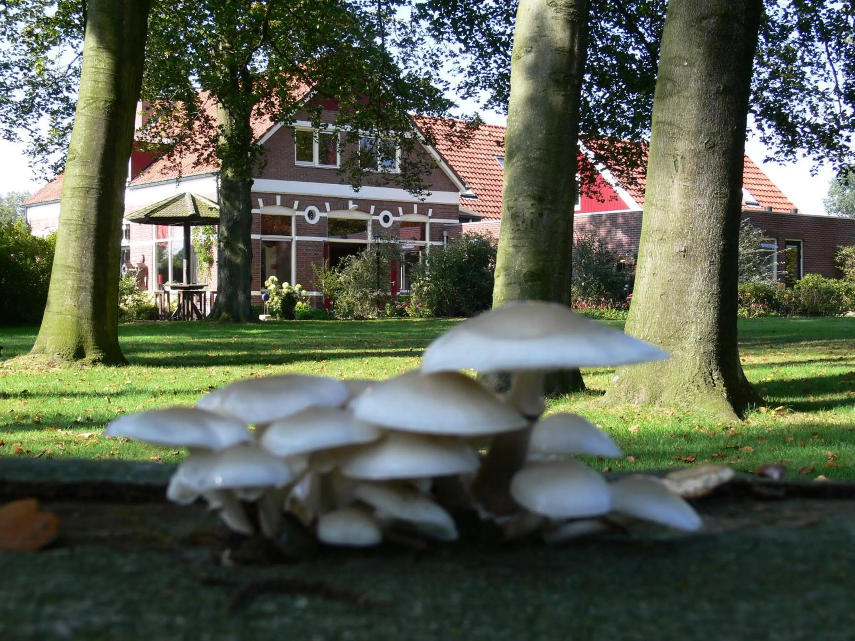 Property building in Boutique Hotel Nieuw Beusink