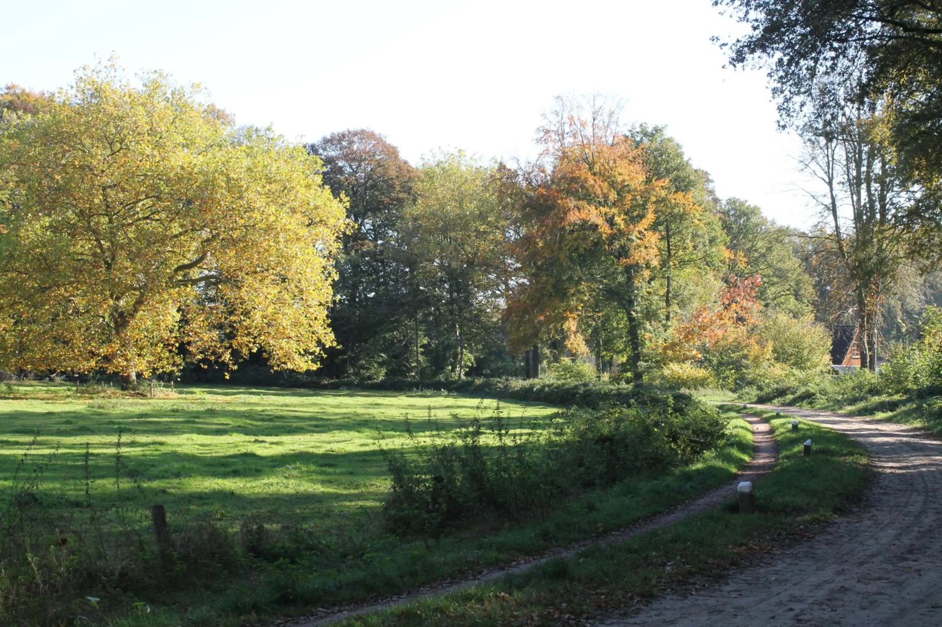 Natural landscape in Boutique Hotel Nieuw Beusink
