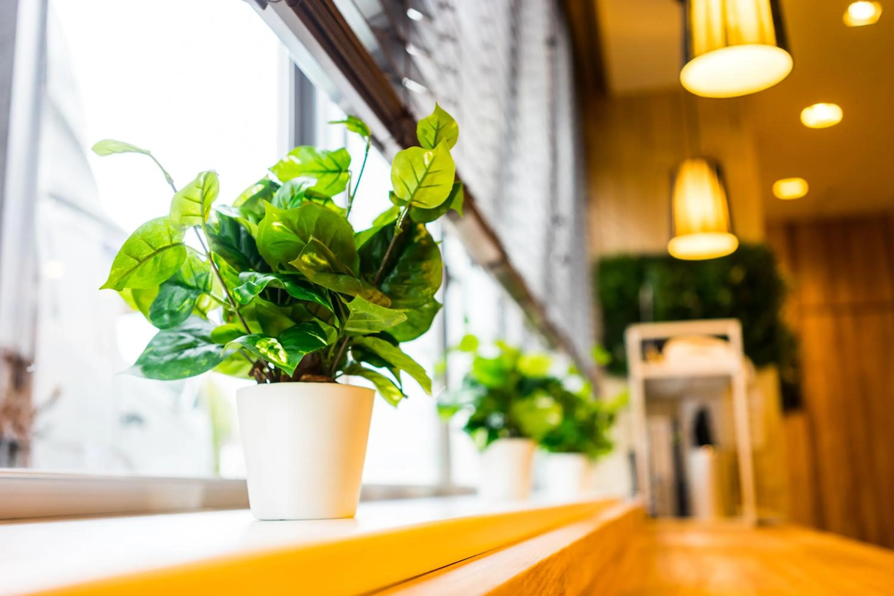 Lobby or reception in SUPERHOTEL Matsumoto Oshiroguchi