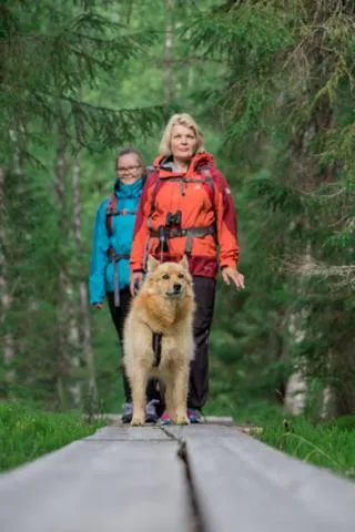 Natural landscape in Paljakka Mökit