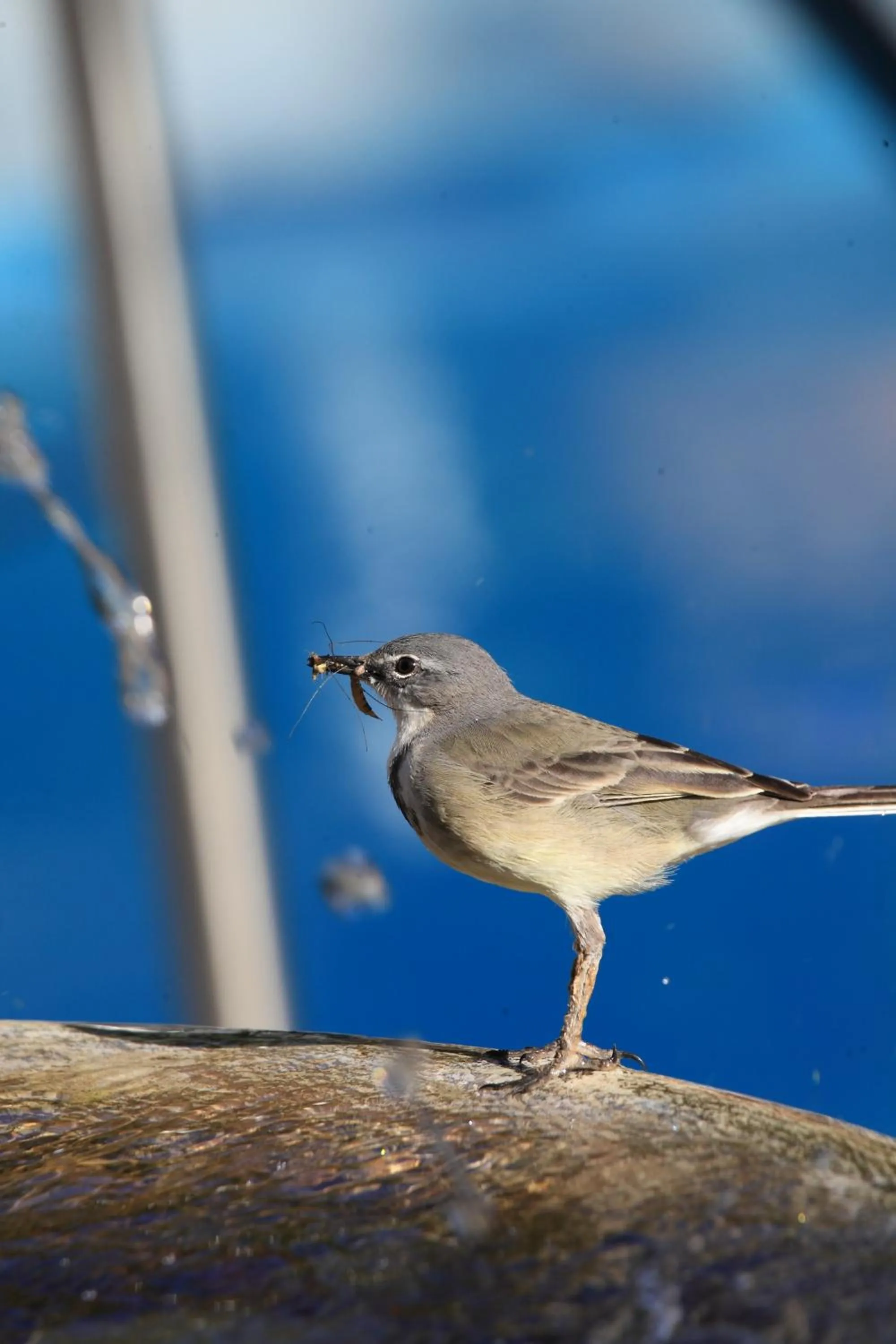Facade/entrance in Cinnamon Boutique Guest House