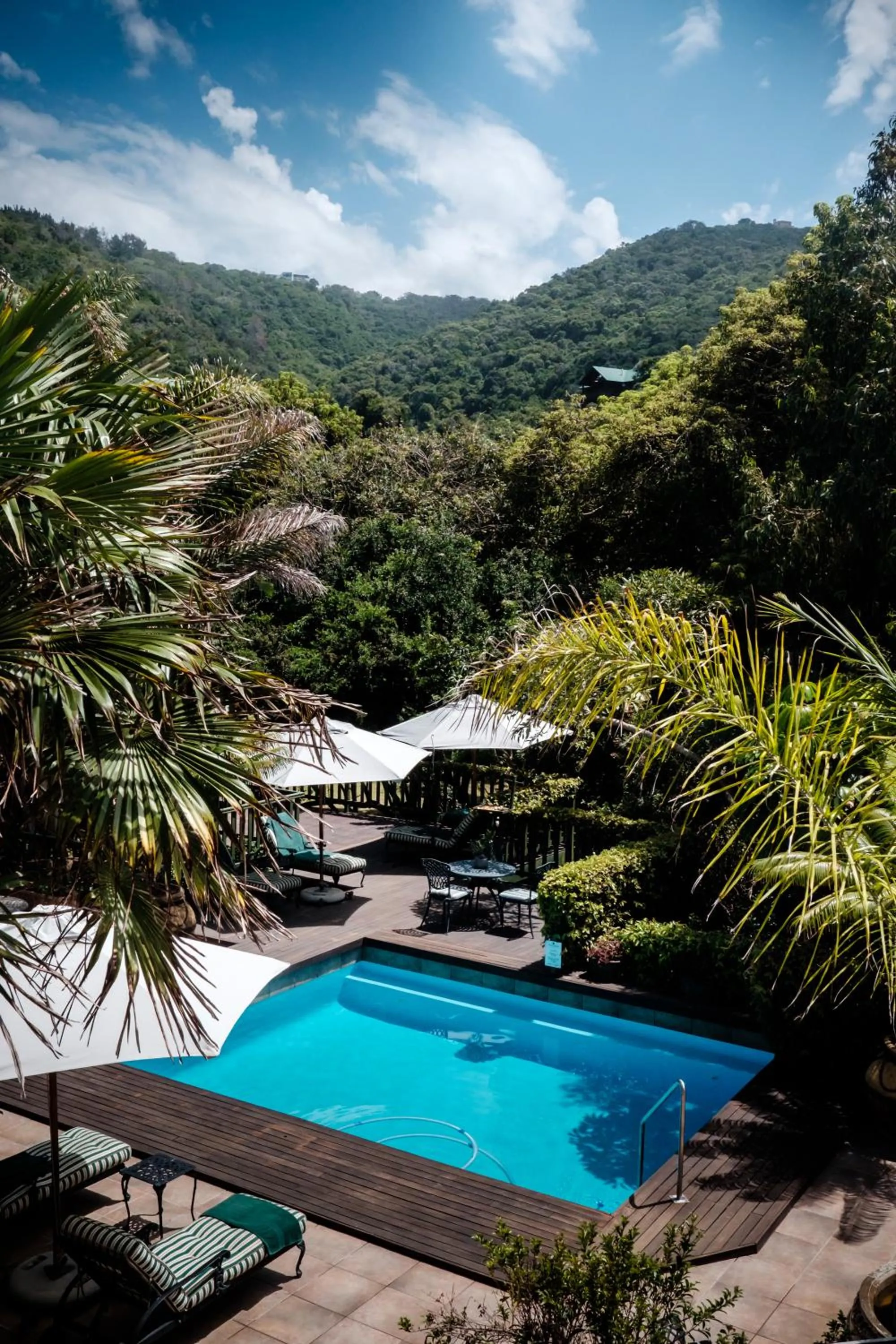 Pool view in Cinnamon Boutique Guest House