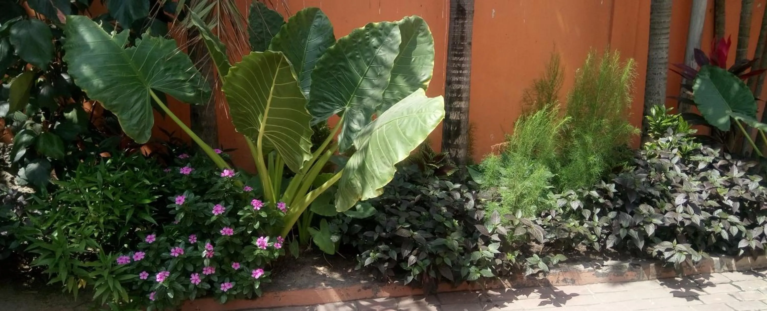 Other in Transit Motel Ukonga