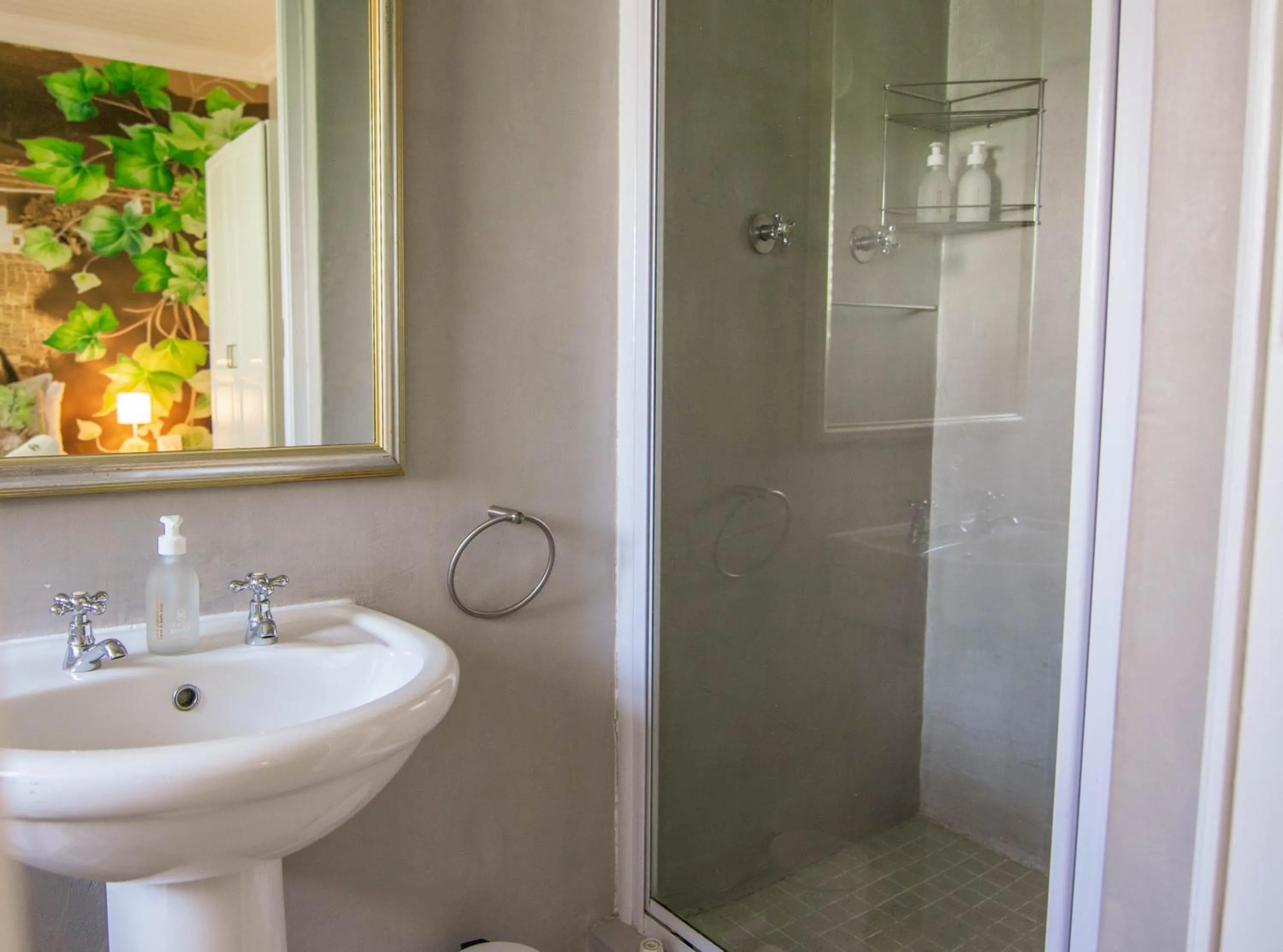 Shower in Rozenburg Guest House