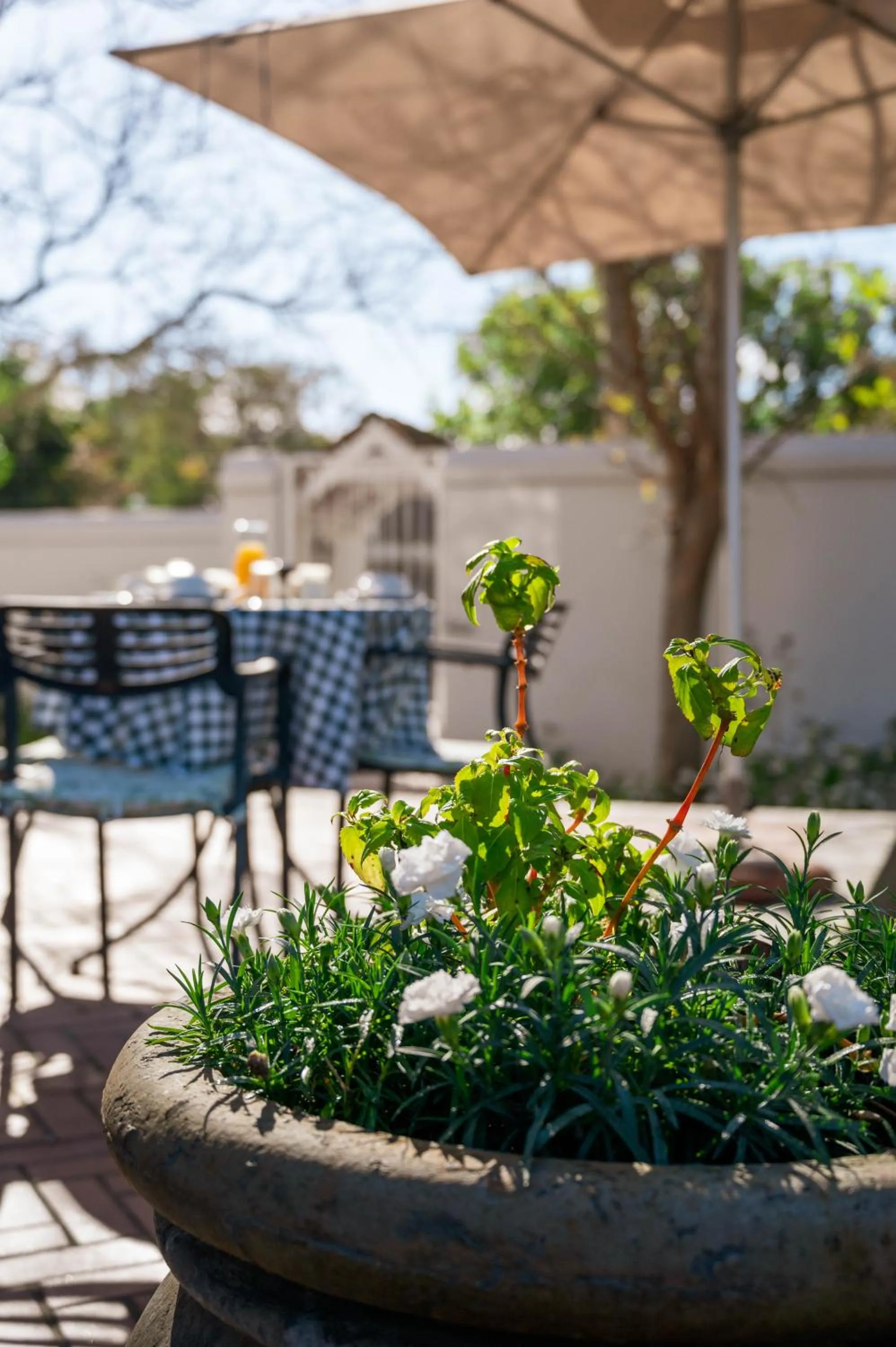 Patio in Rozenburg Guest House