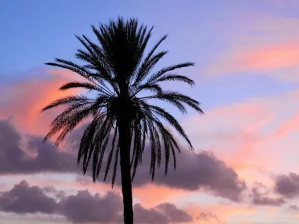 Activities in B&B Solesun