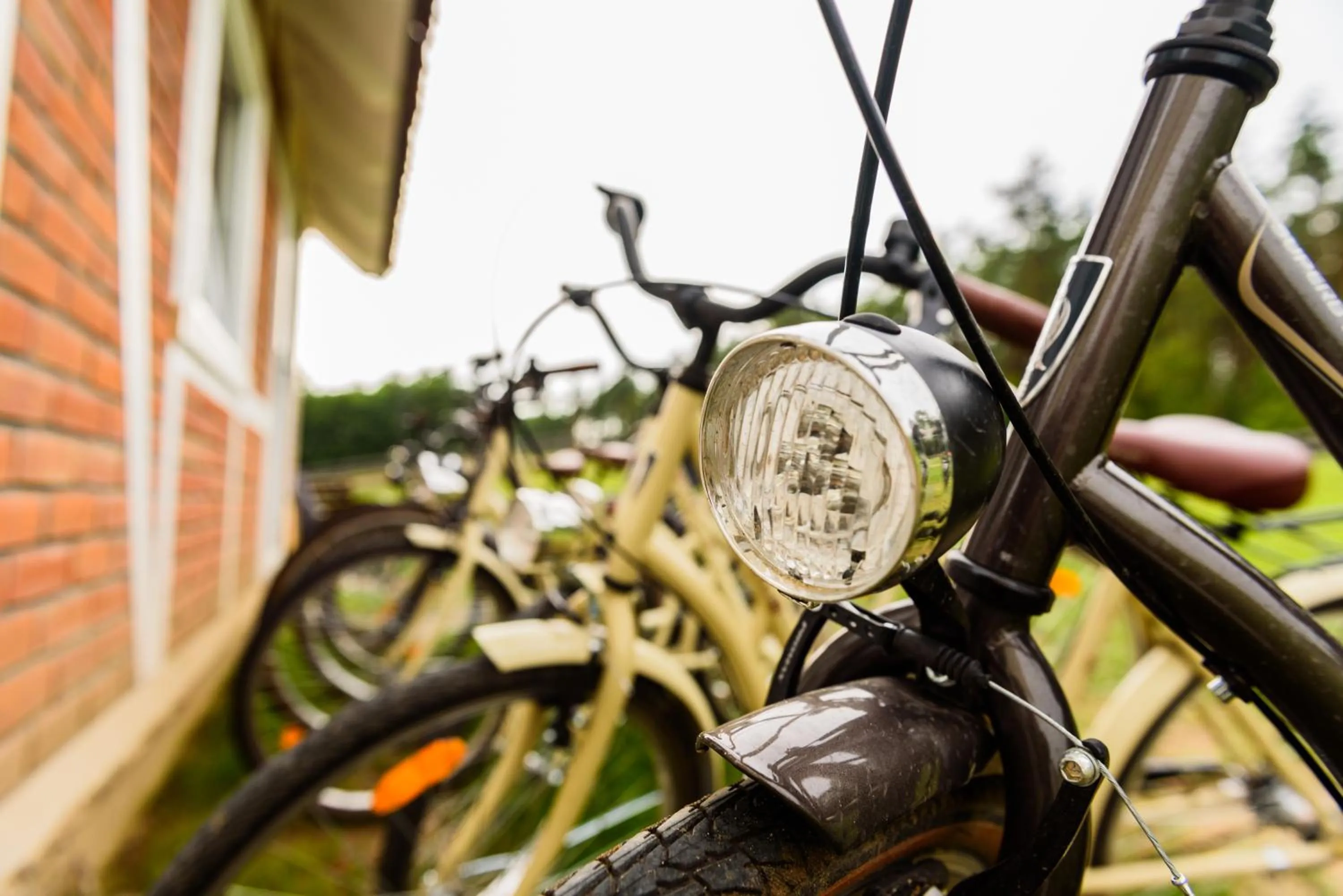 Cycling in Apartamenty Szelągówka, Sun & Snow