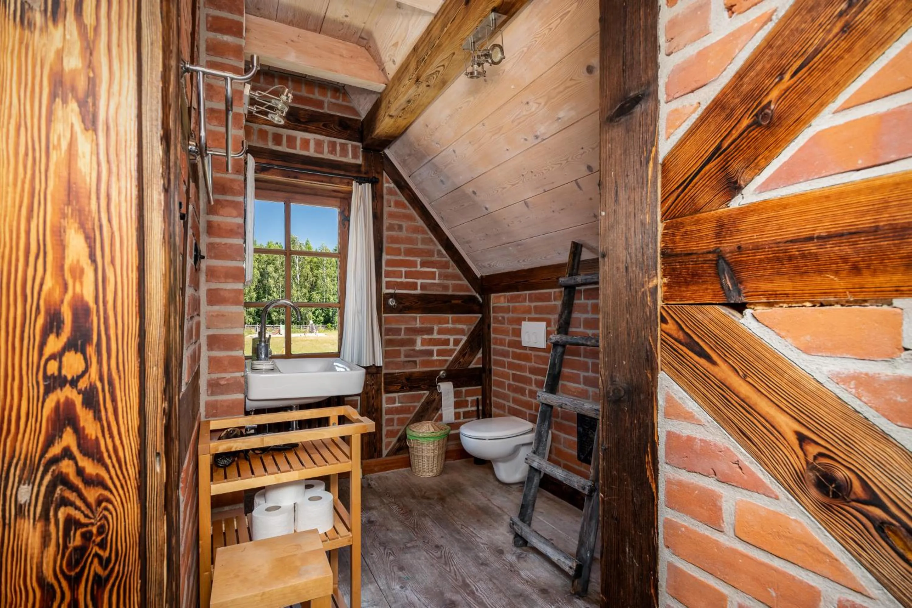 Toilet in Apartamenty Szelągówka, Sun & Snow