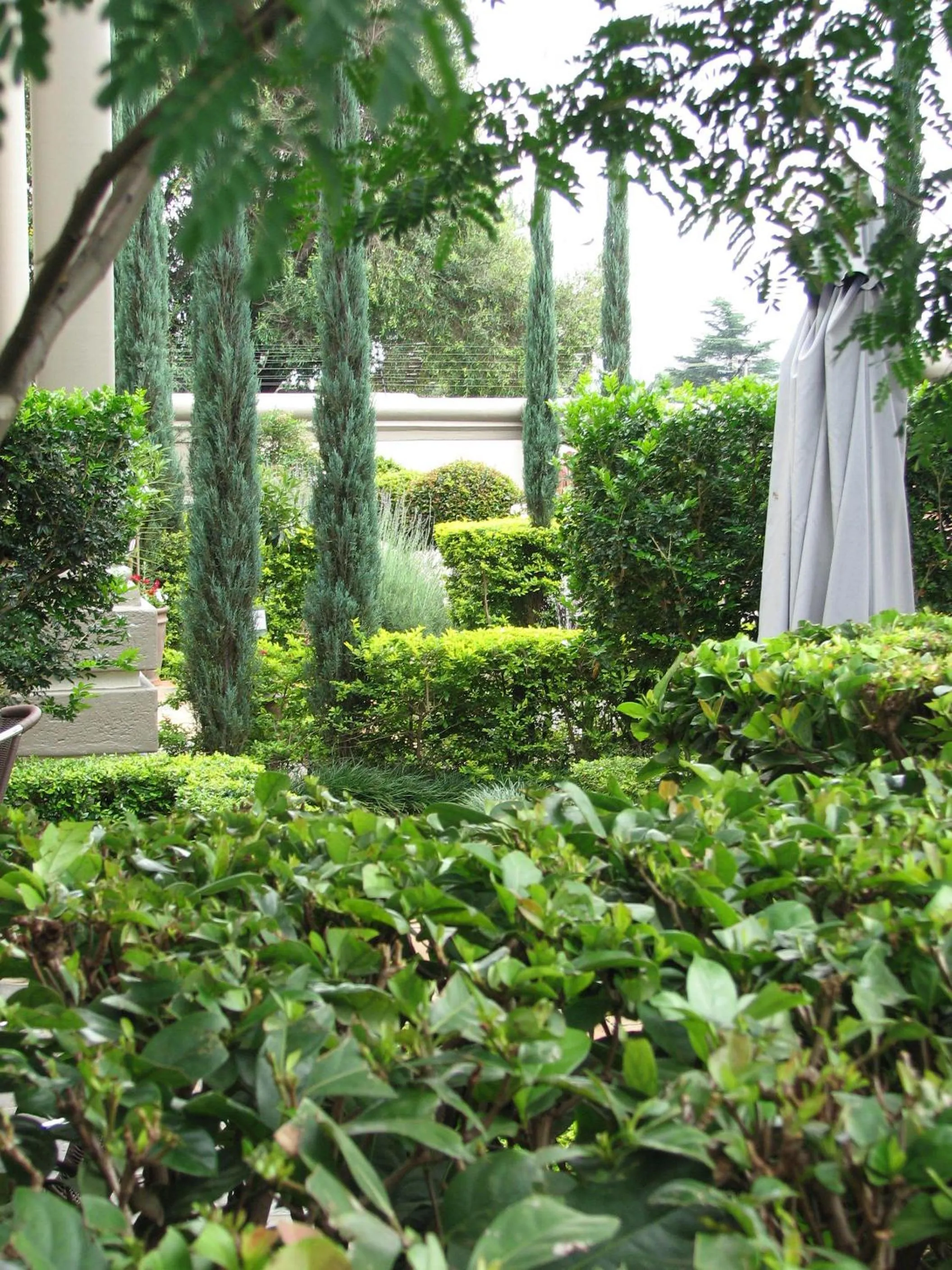 Garden in Constantia Manor Guest House