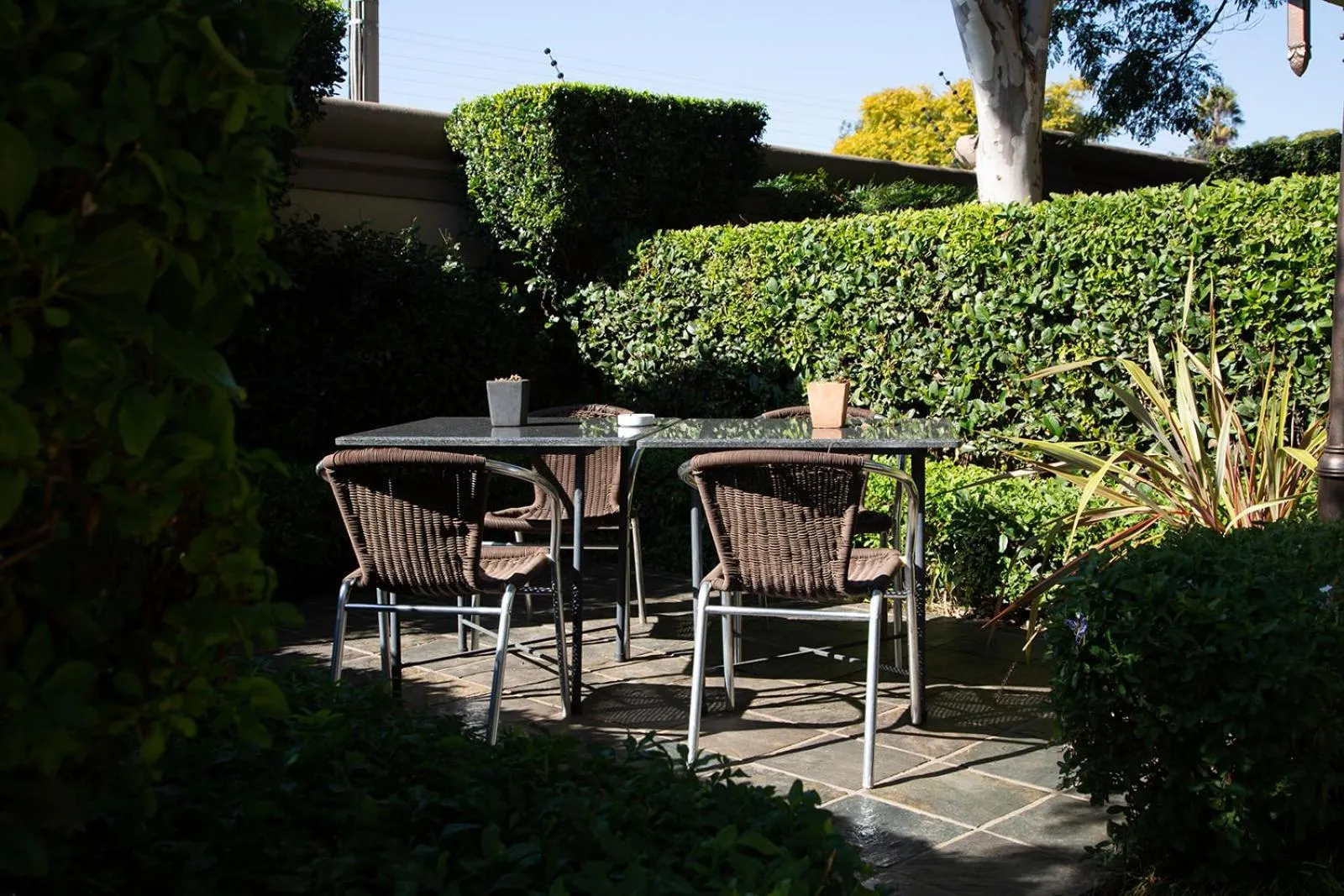 Patio in Constantia Manor Guest House