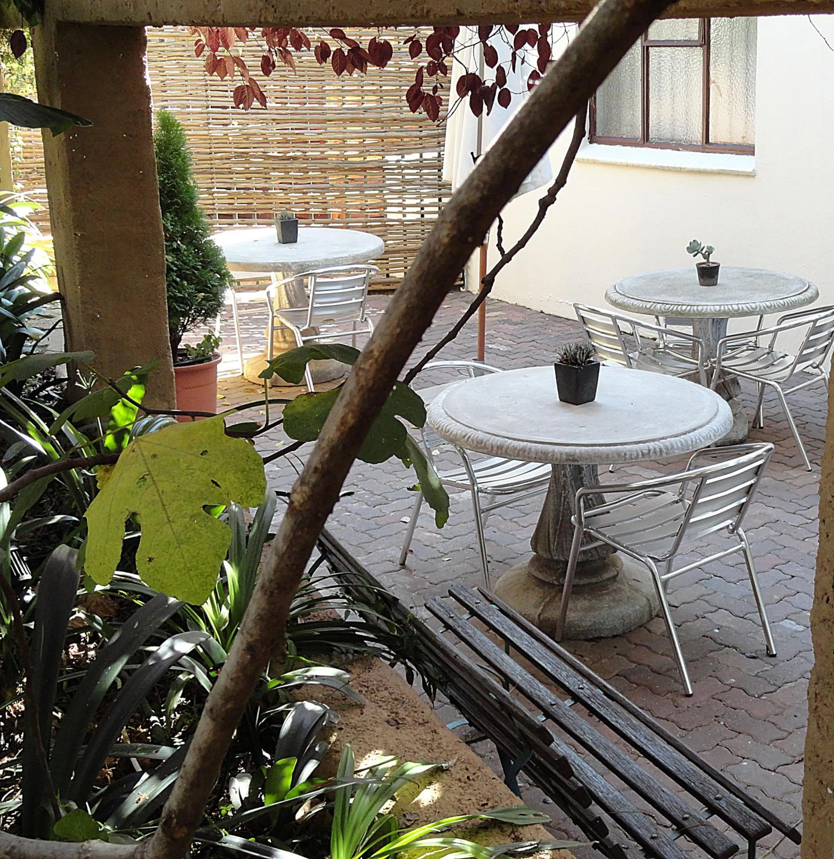 Garden in Constantia Manor Guest House