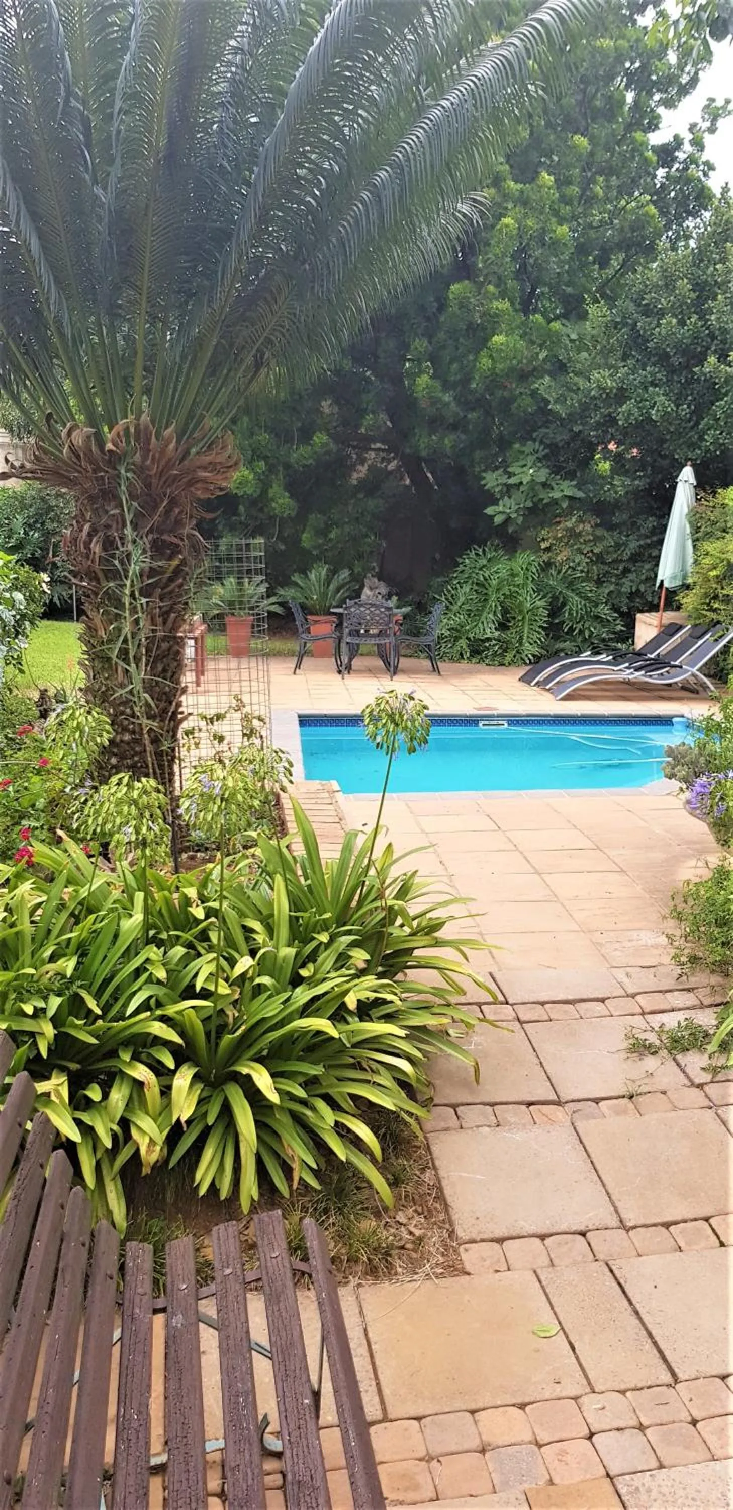 Day in Constantia Manor Guest House