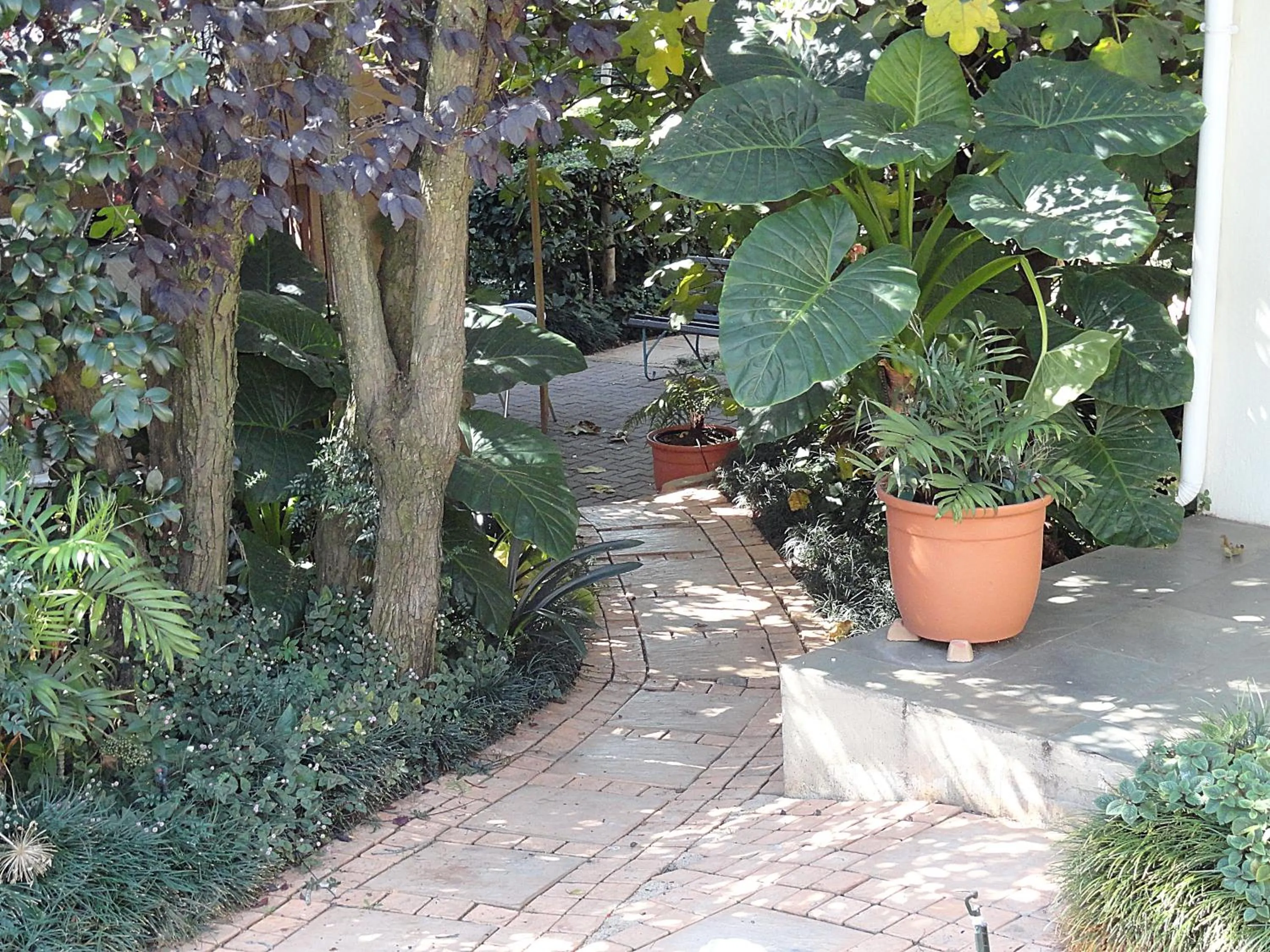Garden in Constantia Manor Guest House