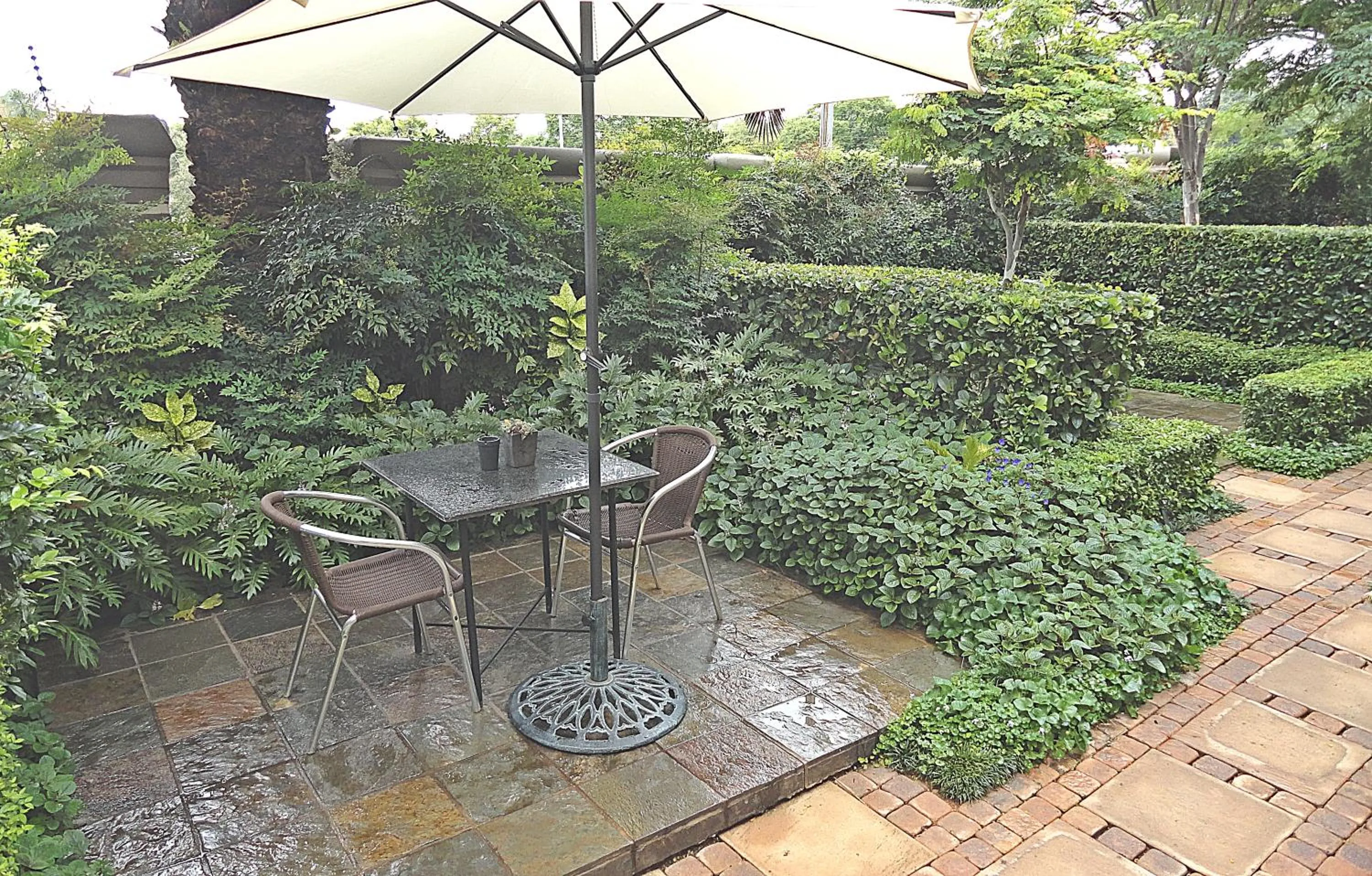 Garden in Constantia Manor Guest House