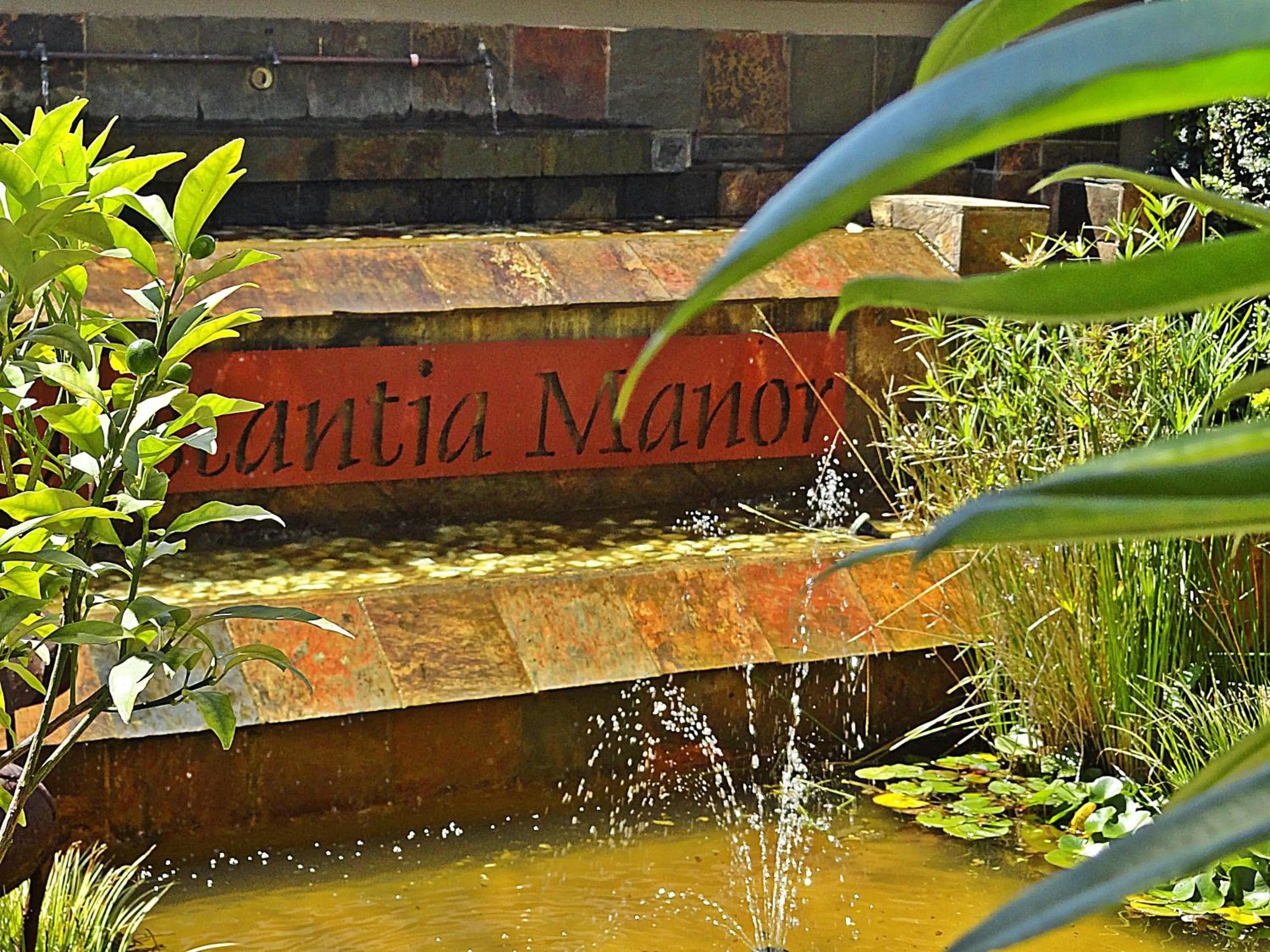 Garden in Constantia Manor Guest House