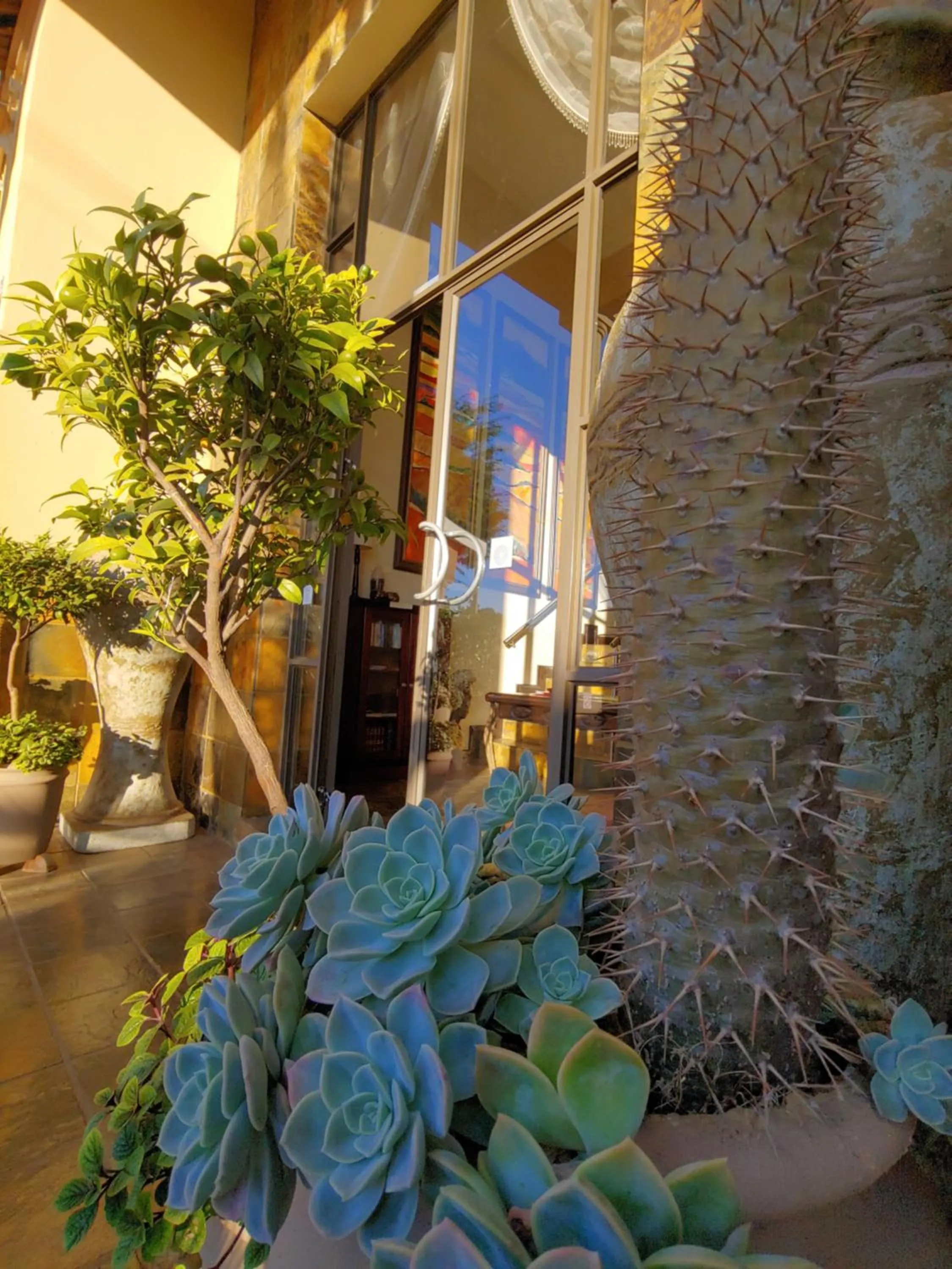 Facade/entrance in Constantia Manor Guest House
