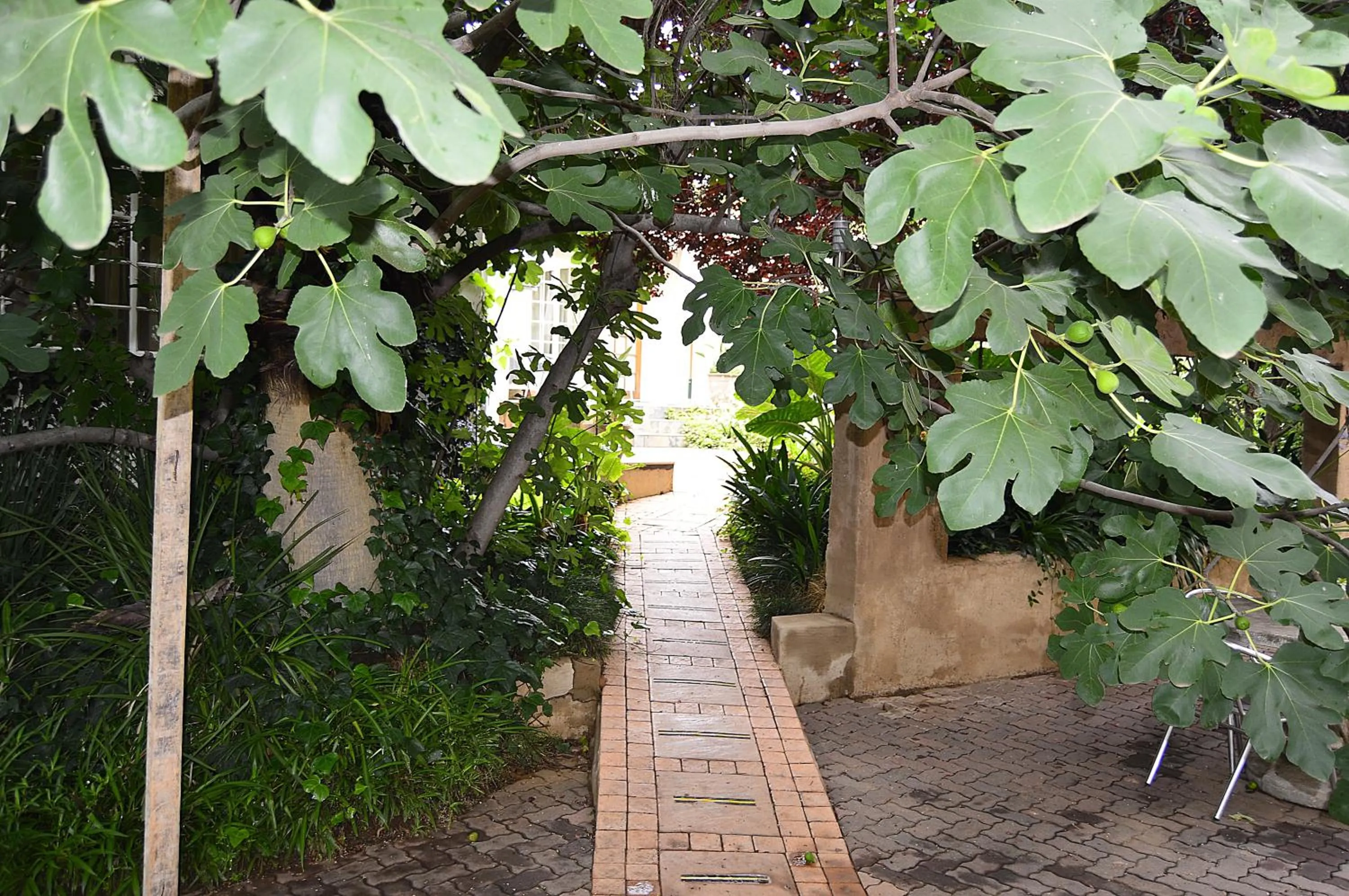 Garden in Constantia Manor Guest House