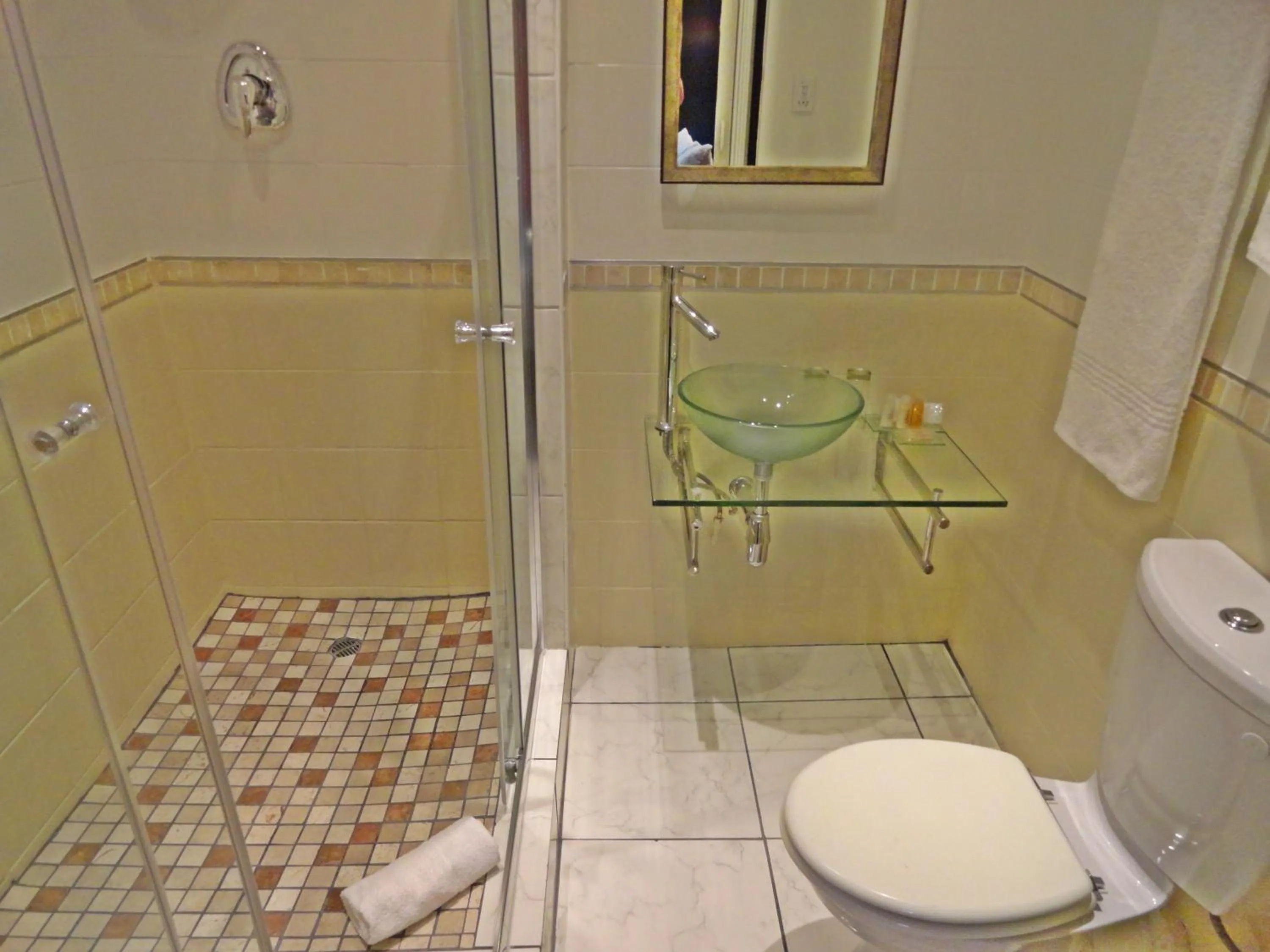 Shower in Constantia Manor Guest House