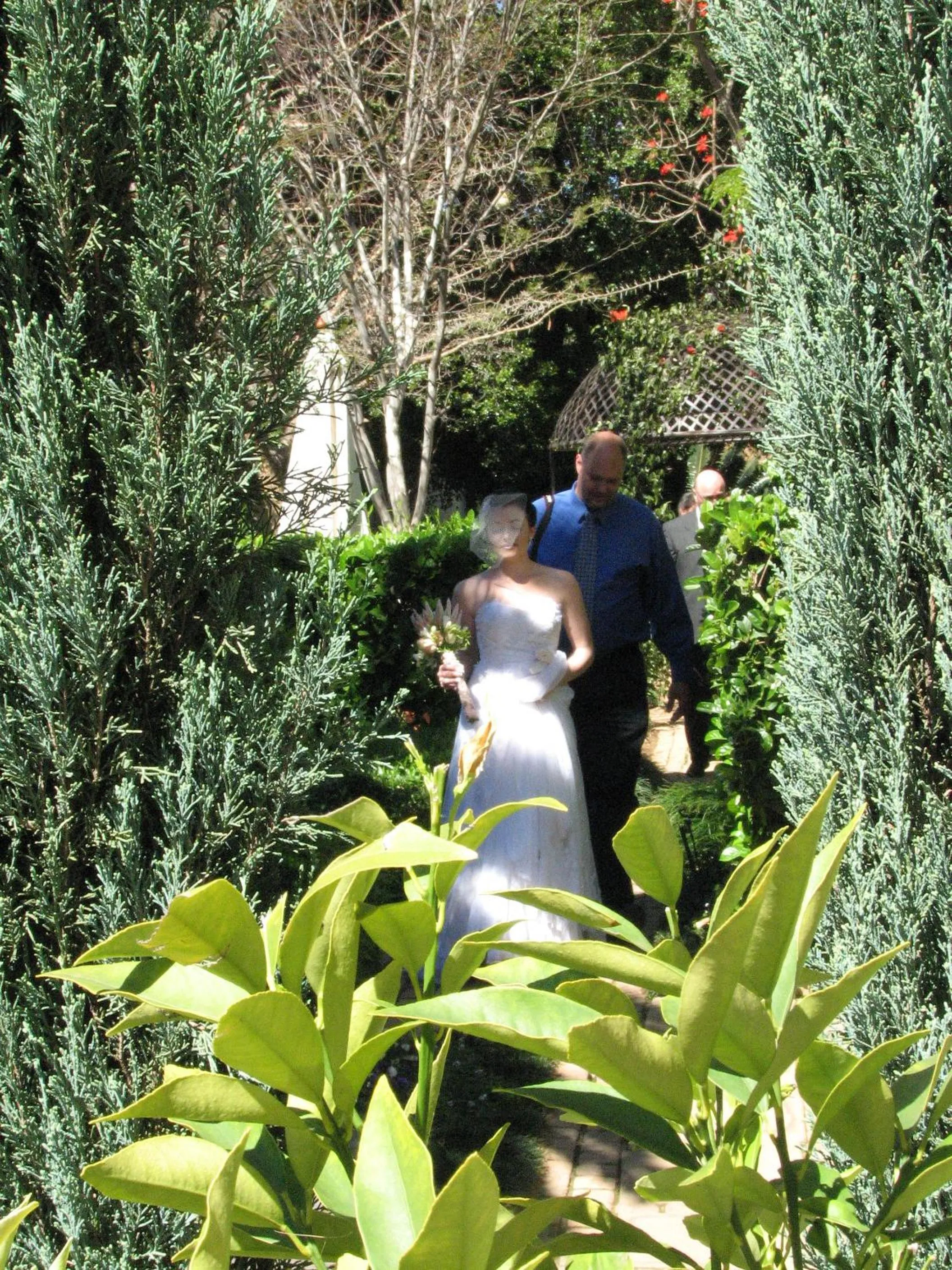 Garden in Constantia Manor Guest House