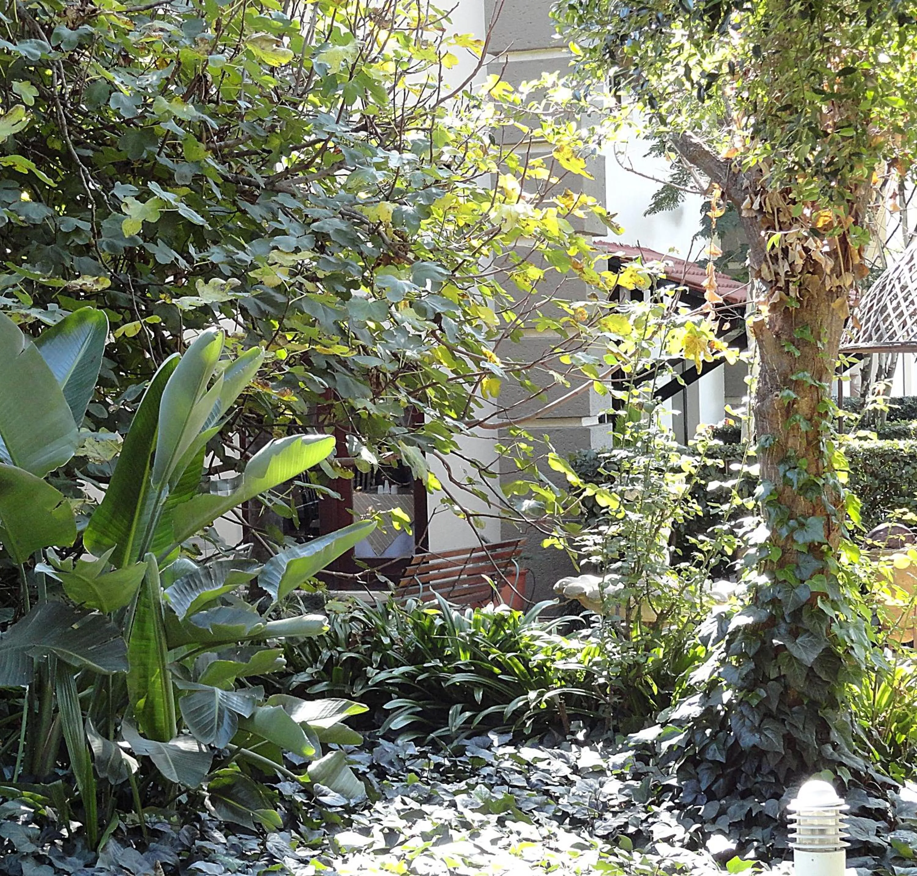 Garden in Constantia Manor Guest House