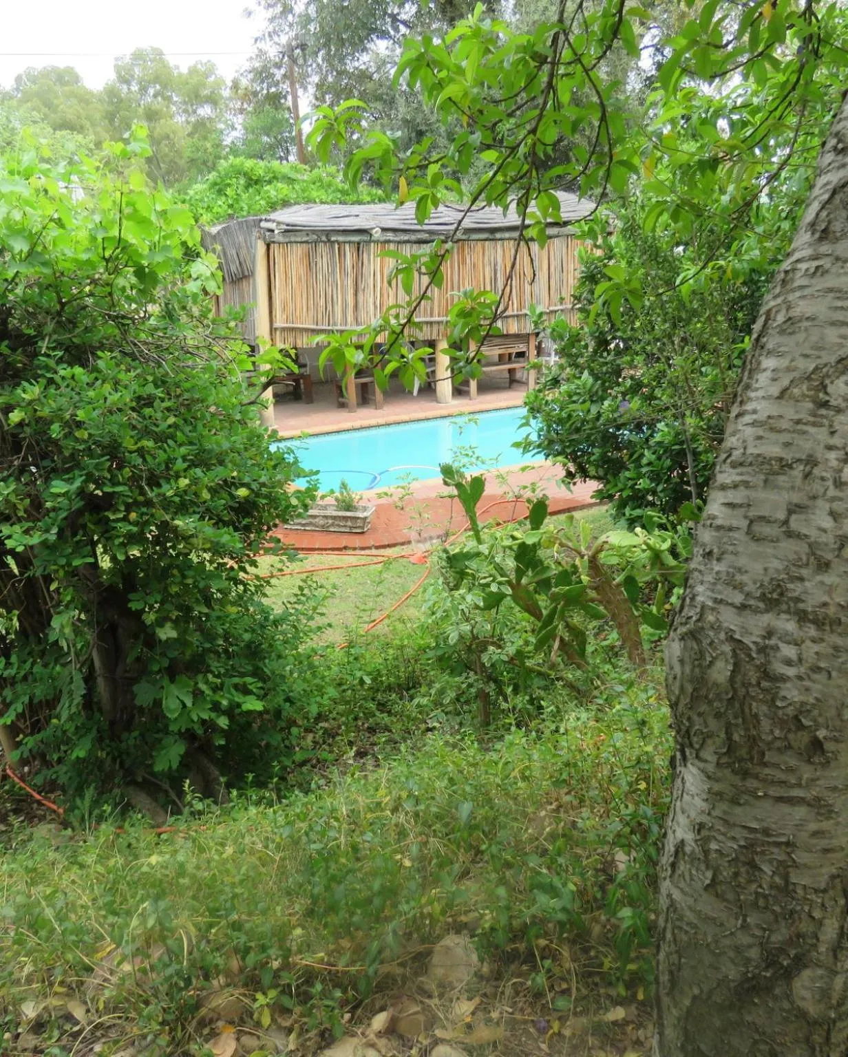 Garden in Langenhoven B&B