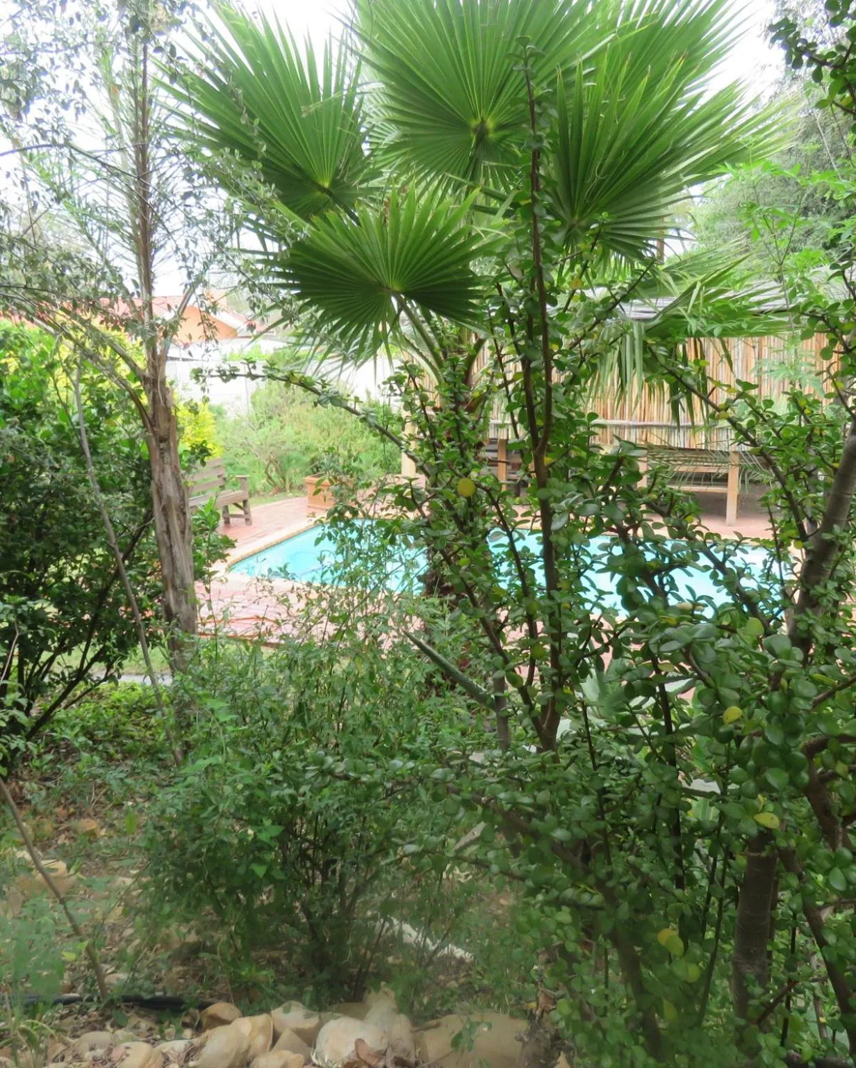 Garden in Langenhoven B&B