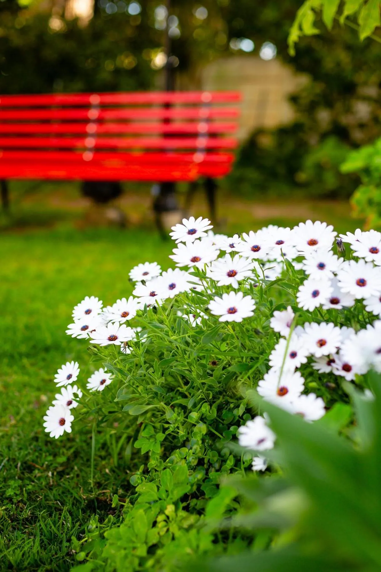 Garden in Montagu Country Hotel