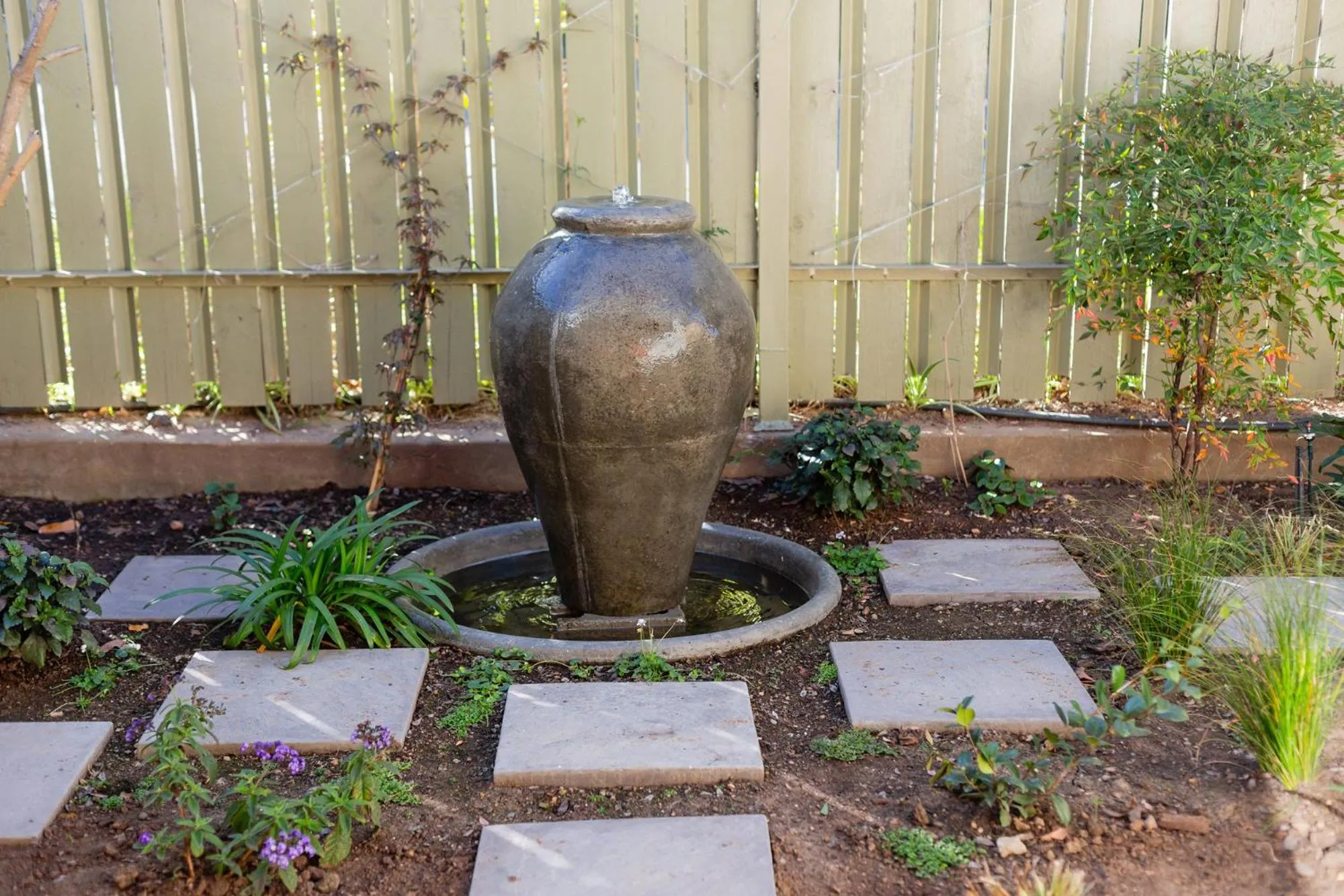 Garden in Montagu Country Hotel