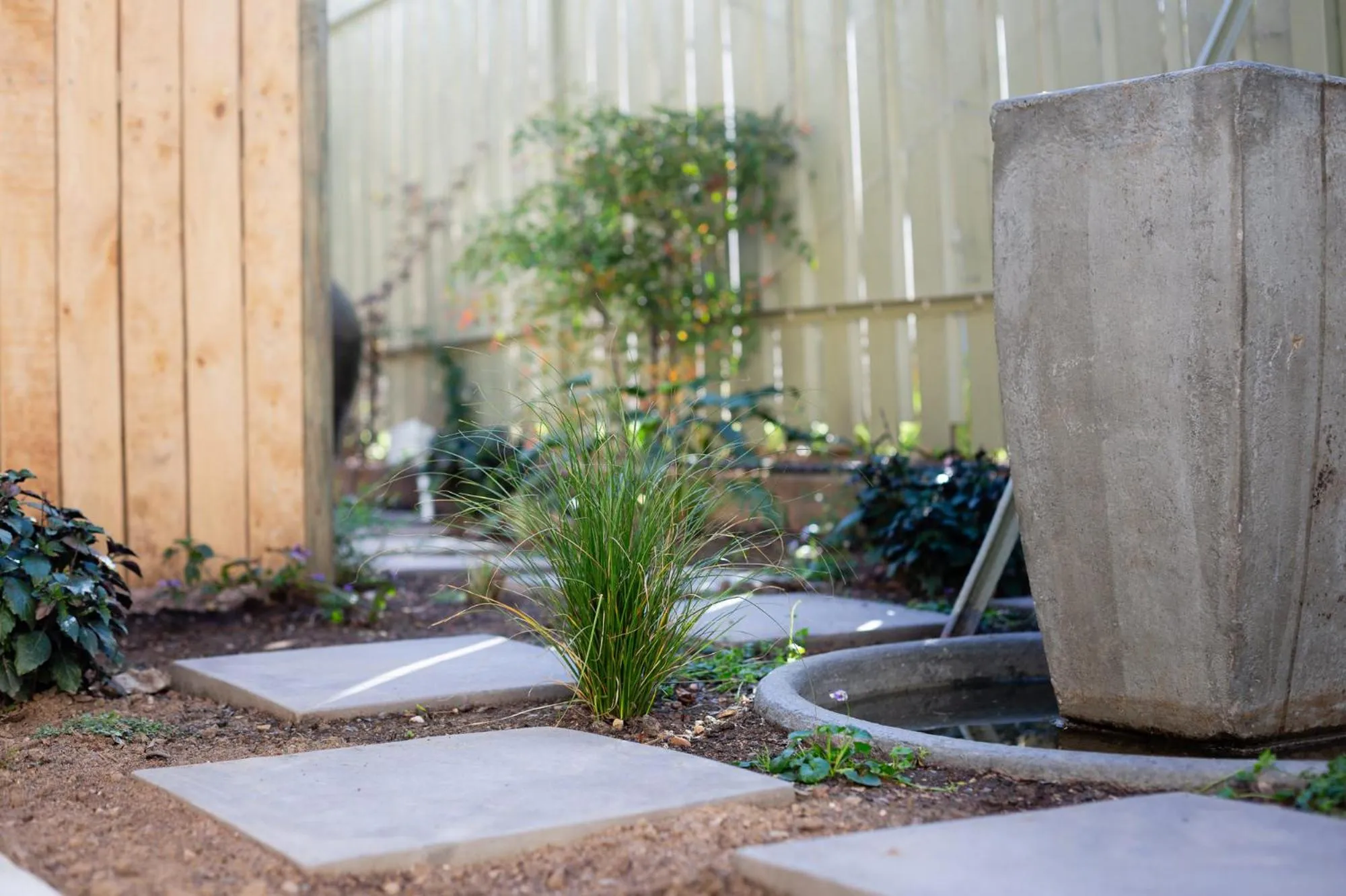 Garden in Montagu Country Hotel