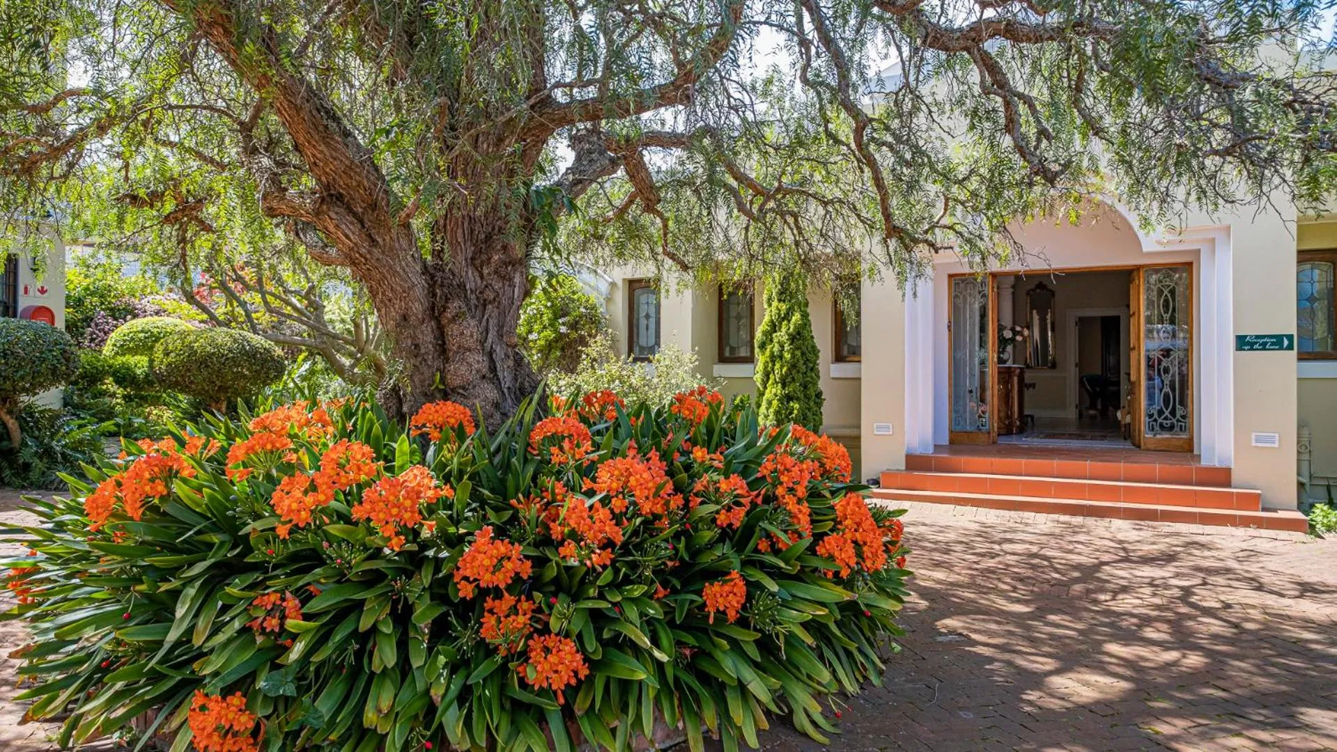 Property building in Lemon Tree Lane