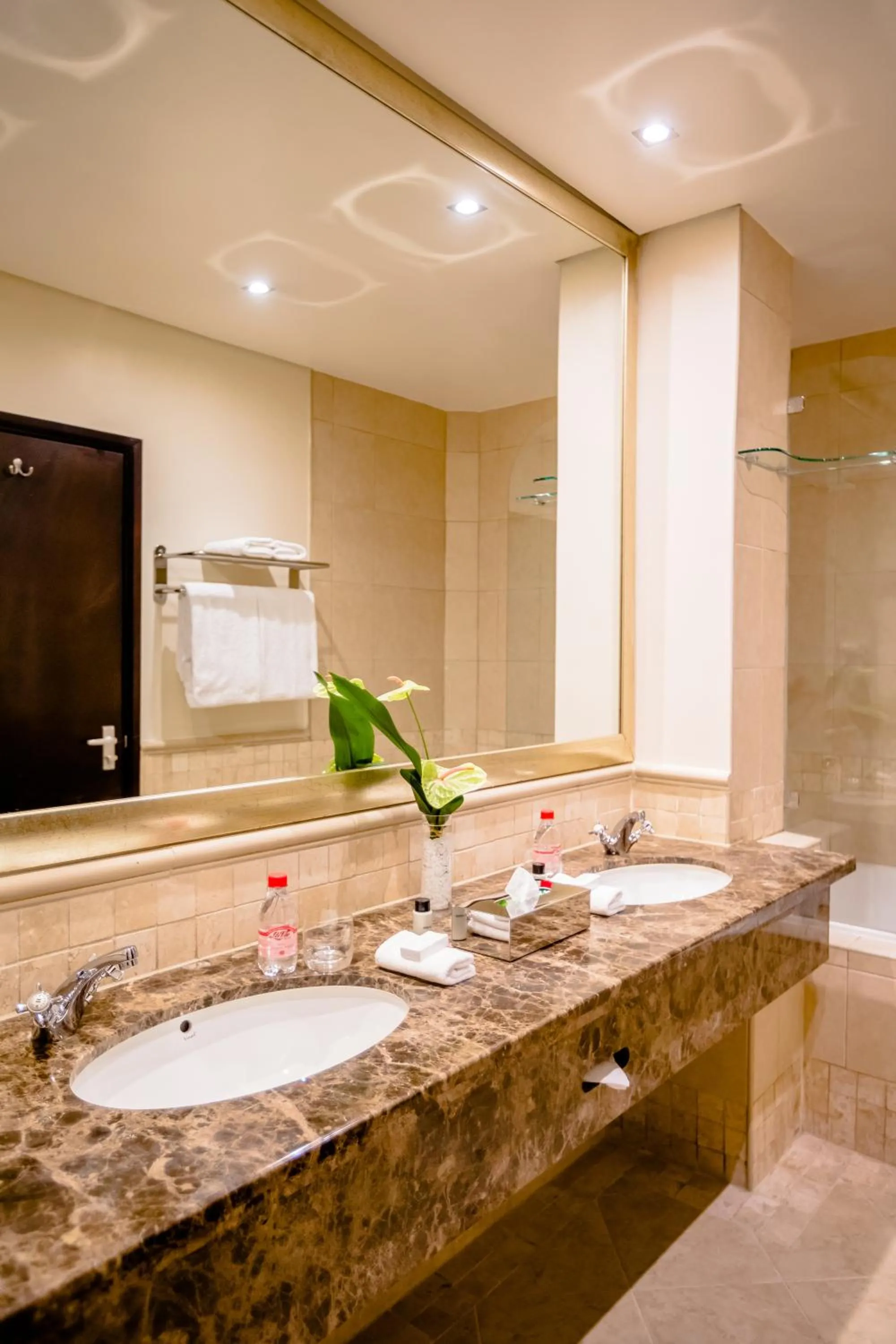 Shower in Southern Sun Sandton