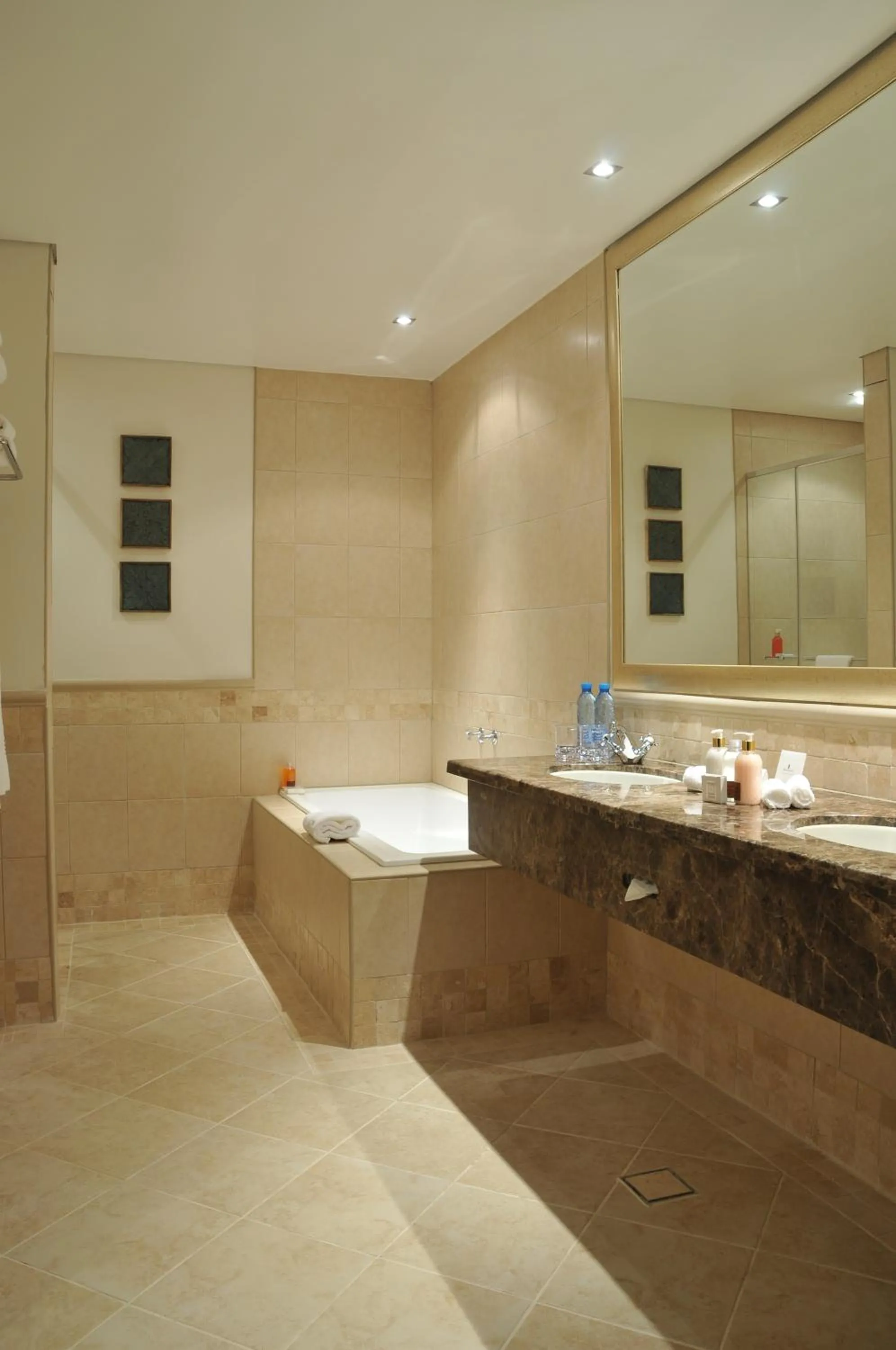 Shower, Bathroom in Holiday Inn Sandton, an IHG Hotel