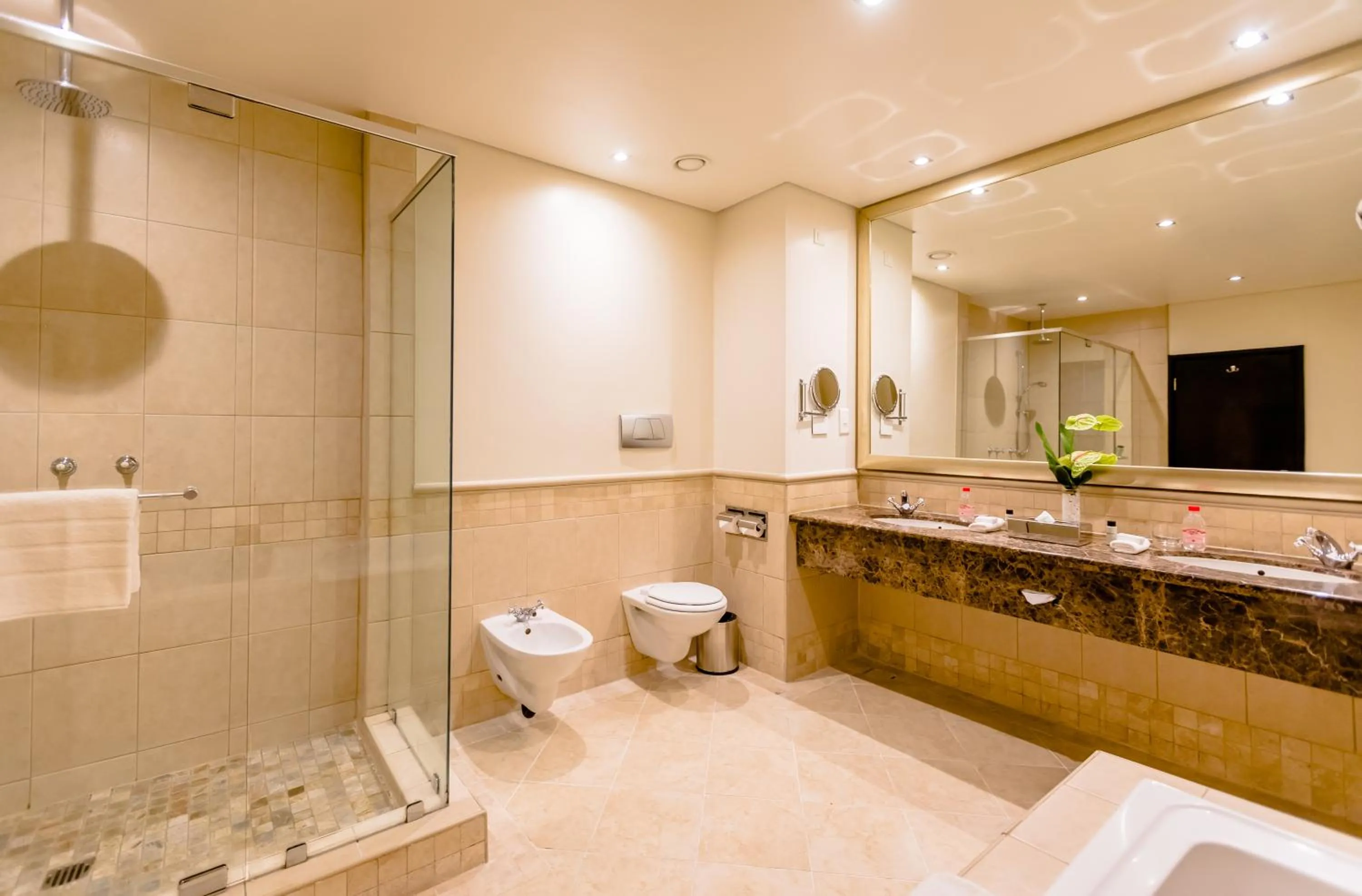 Shower in Southern Sun Sandton