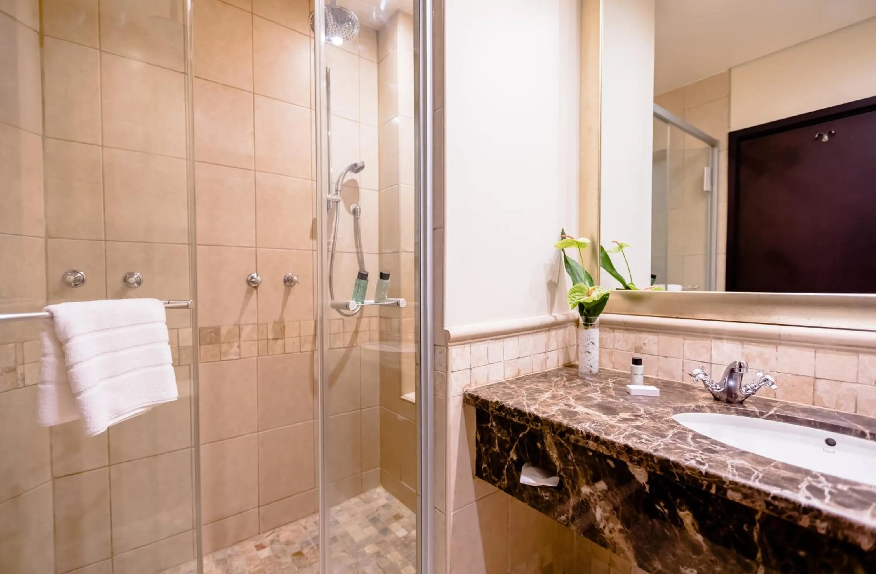 Shower in Southern Sun Sandton