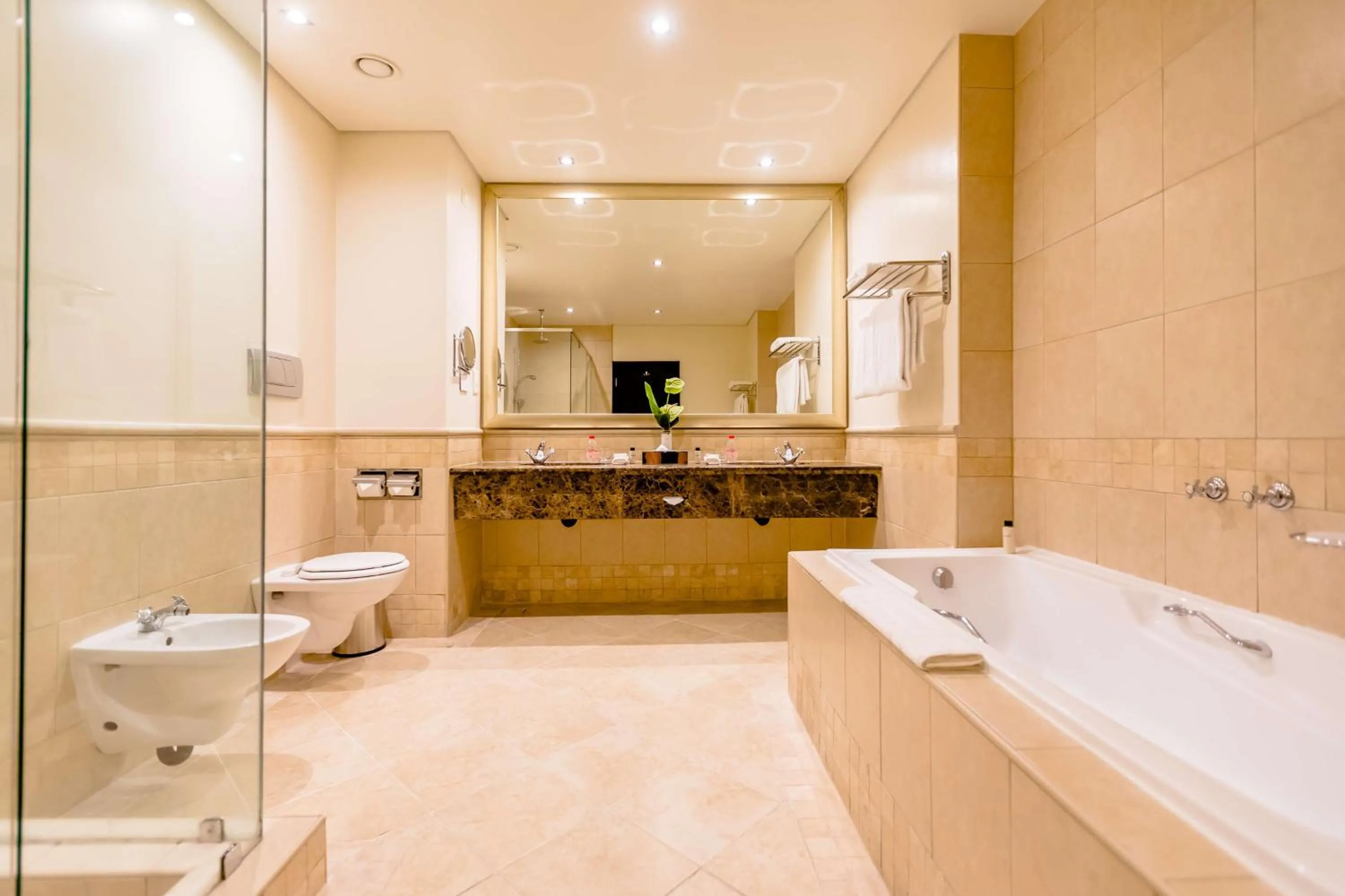 Bathroom in Southern Sun Sandton