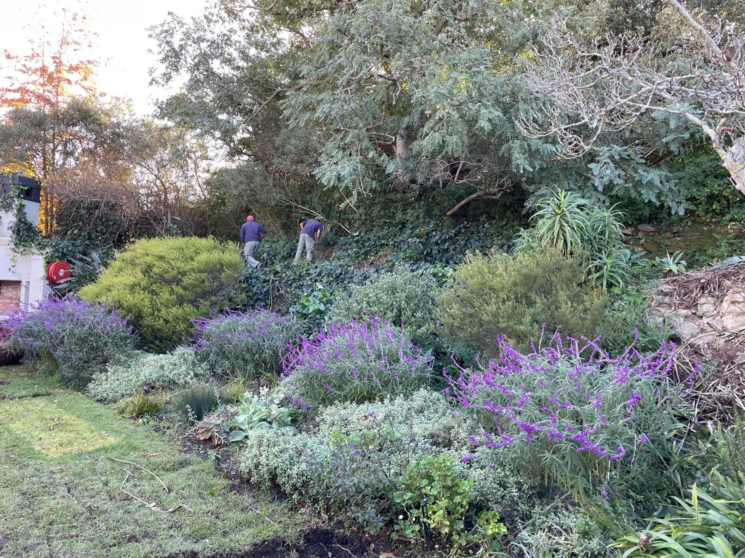 Inner courtyard view in Sugarbird Manor
