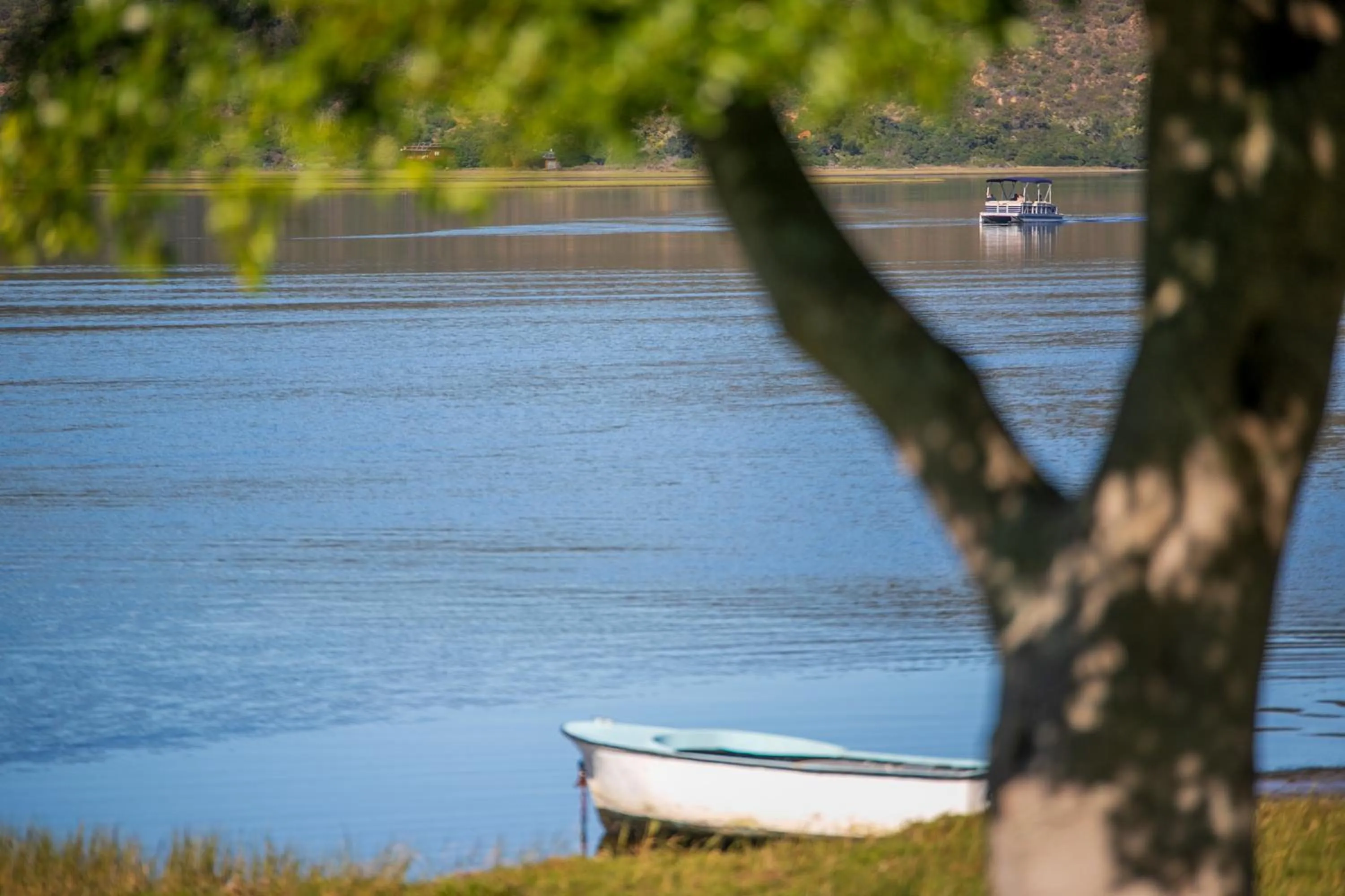 Natural landscape in St. James of Knysna