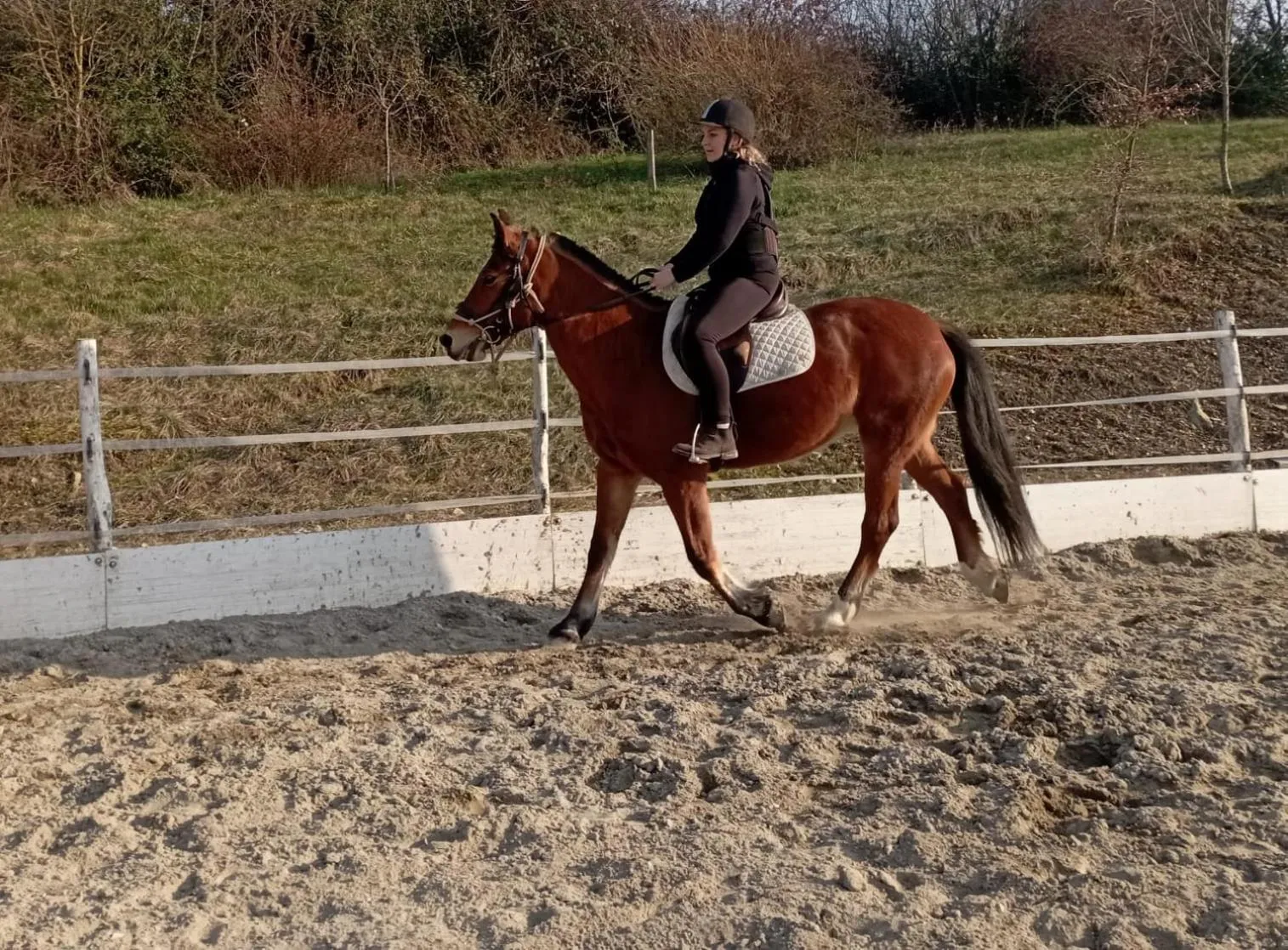 Horse-riding in Fattoria Ca' di Fatino