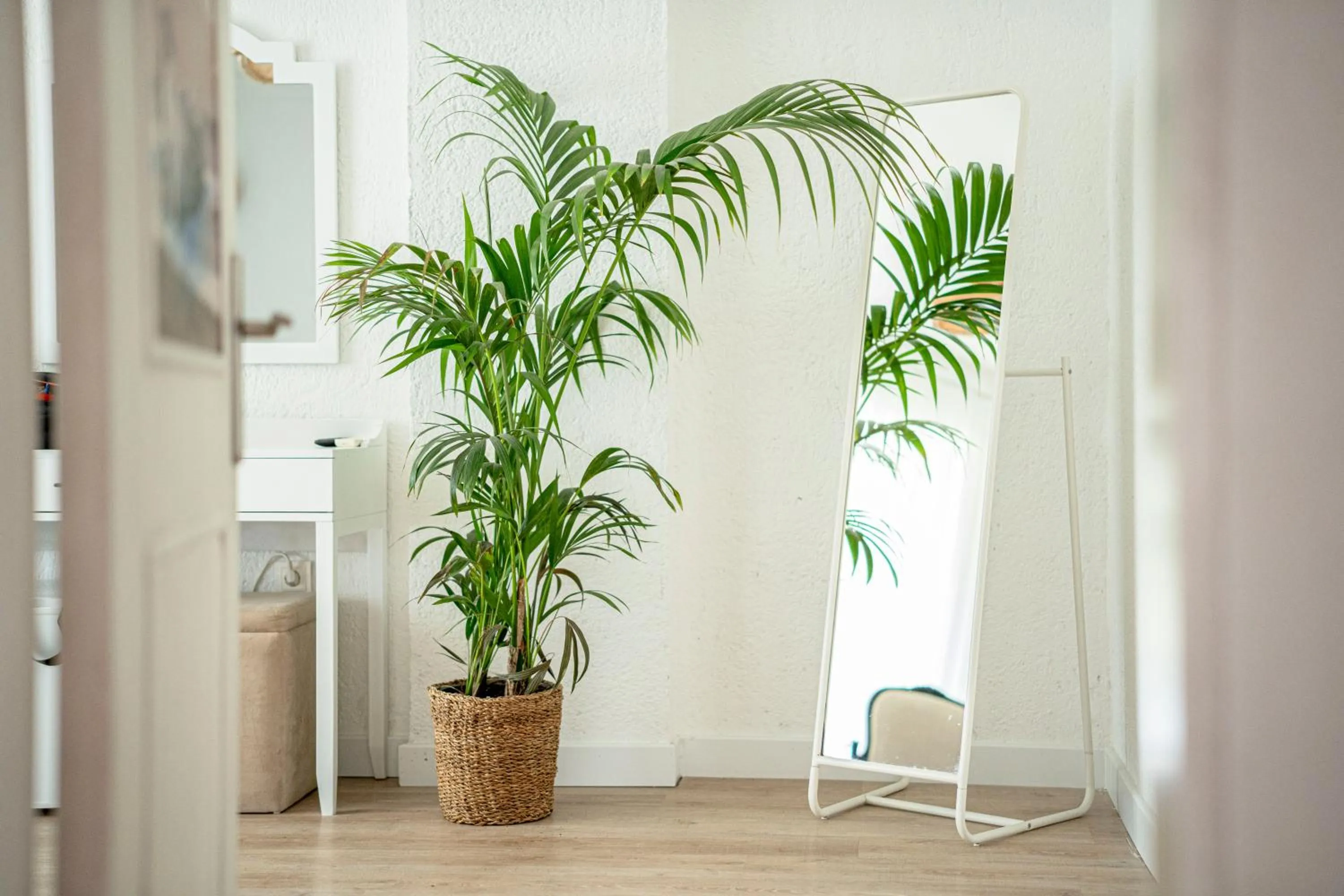 Decorative detail in Sandal Alaçatı - Adult Only