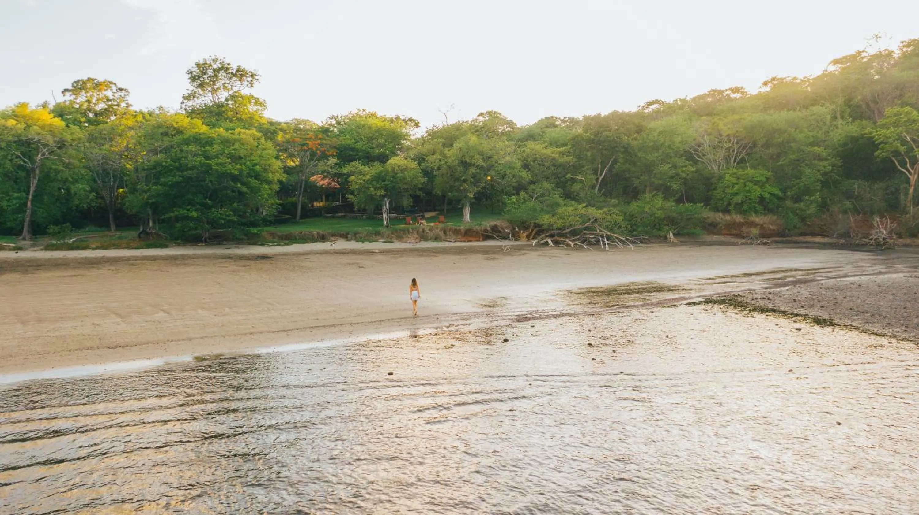 Beach in Papagayo Golden Palms Beachfront Hotel