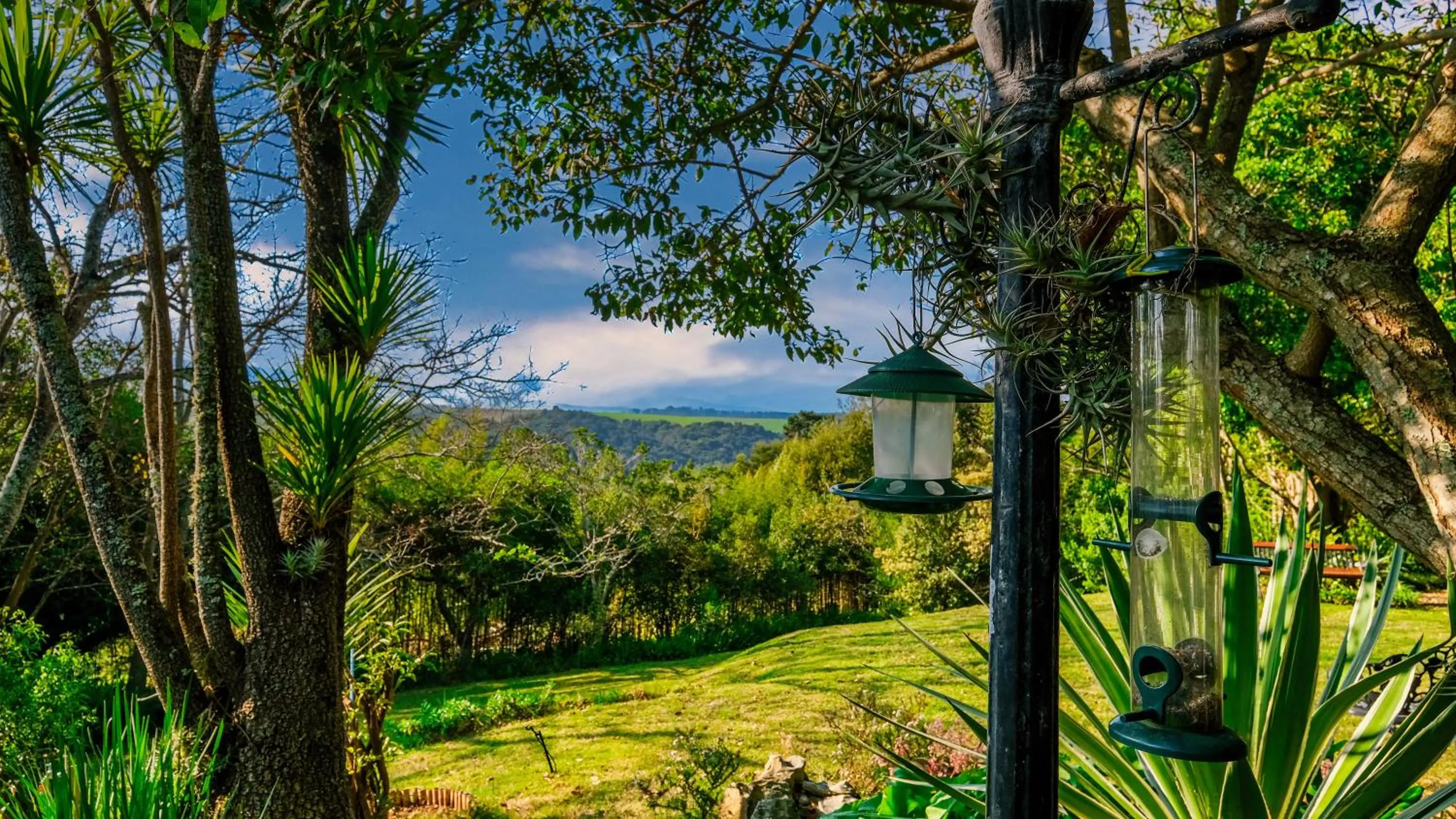 Natural landscape in Hildesheim Guest Lodge