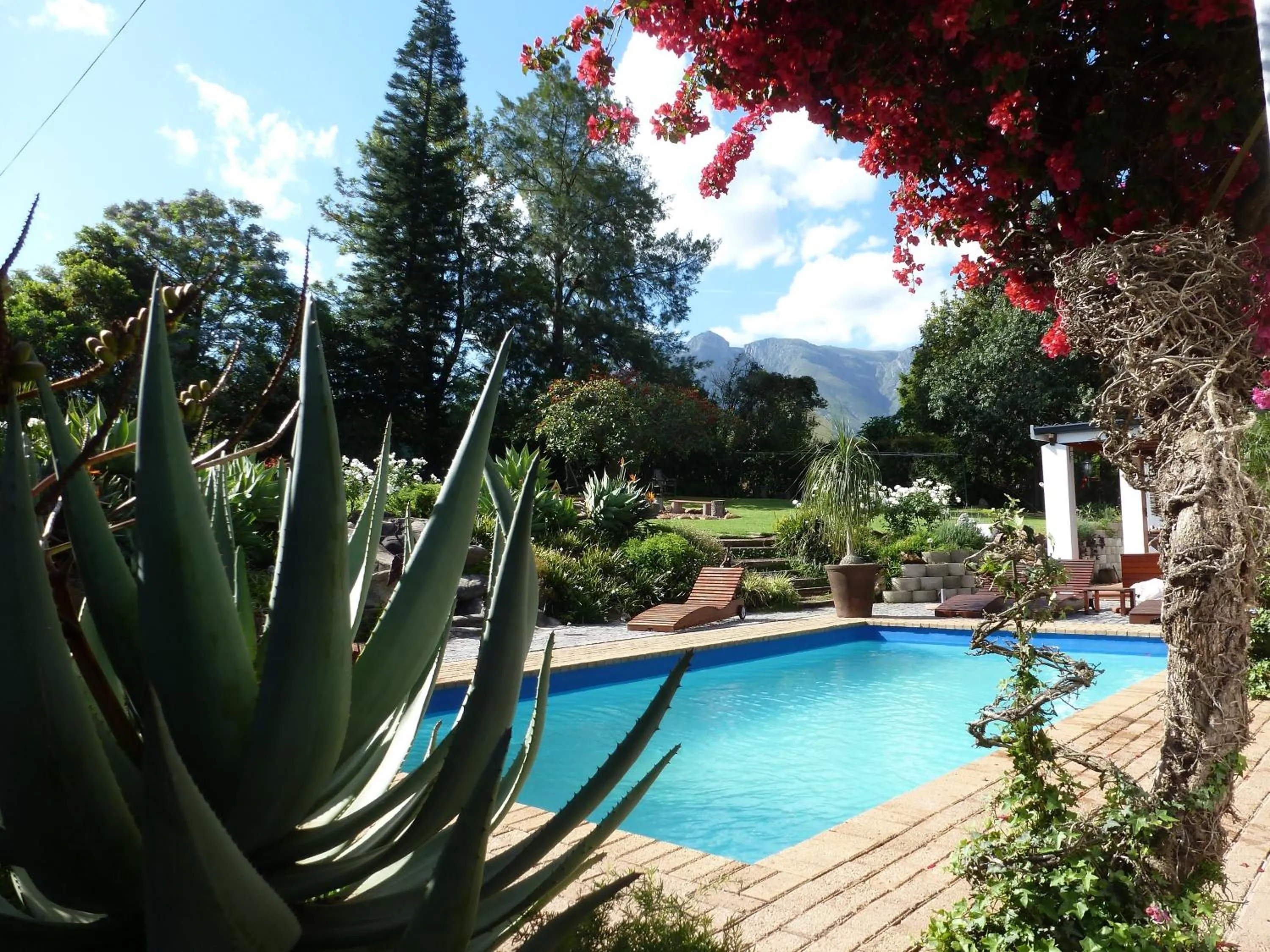 Swimming pool in Marula Lodge