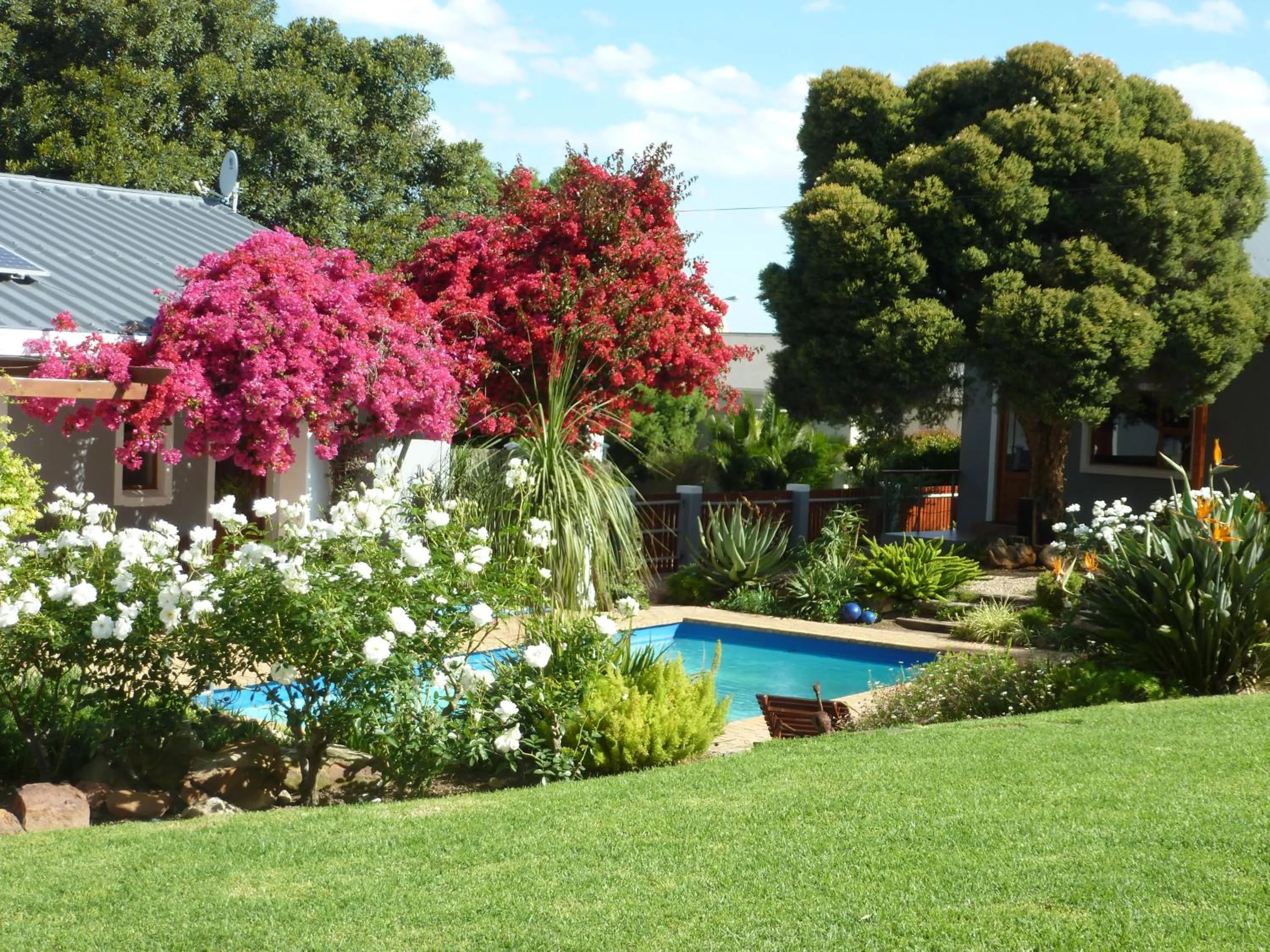 Garden in Marula Lodge